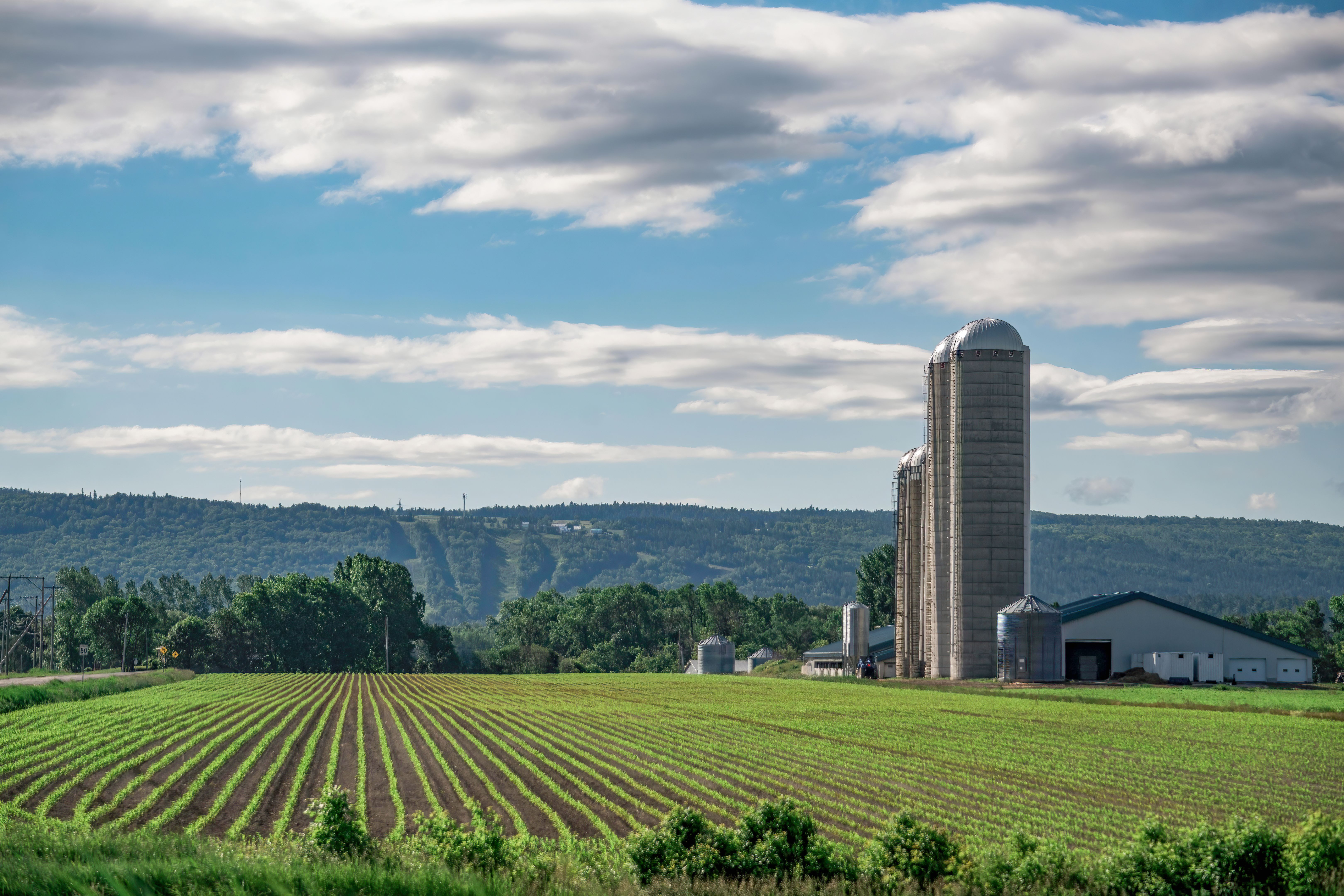 small farm agriculture
