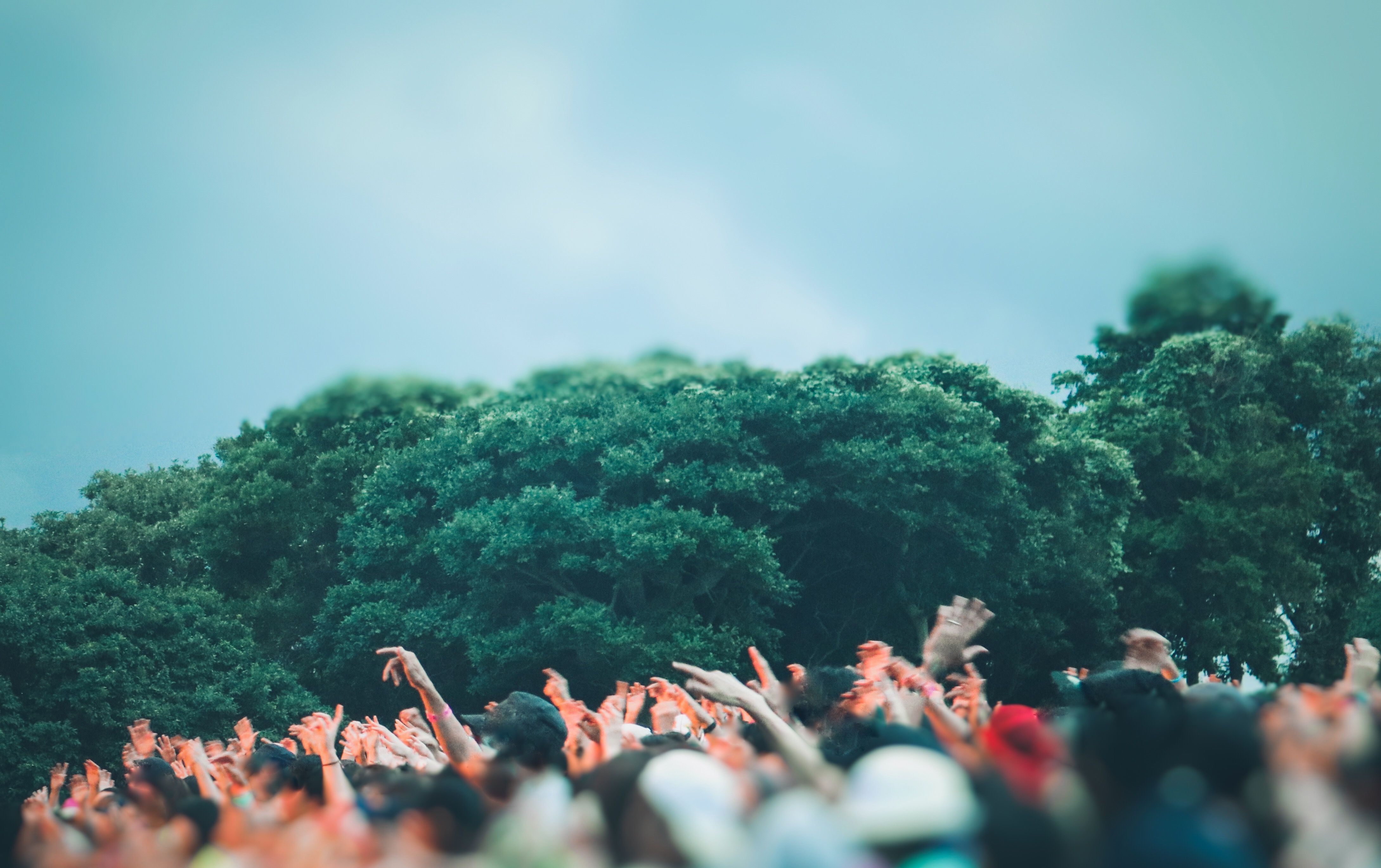 summer festival