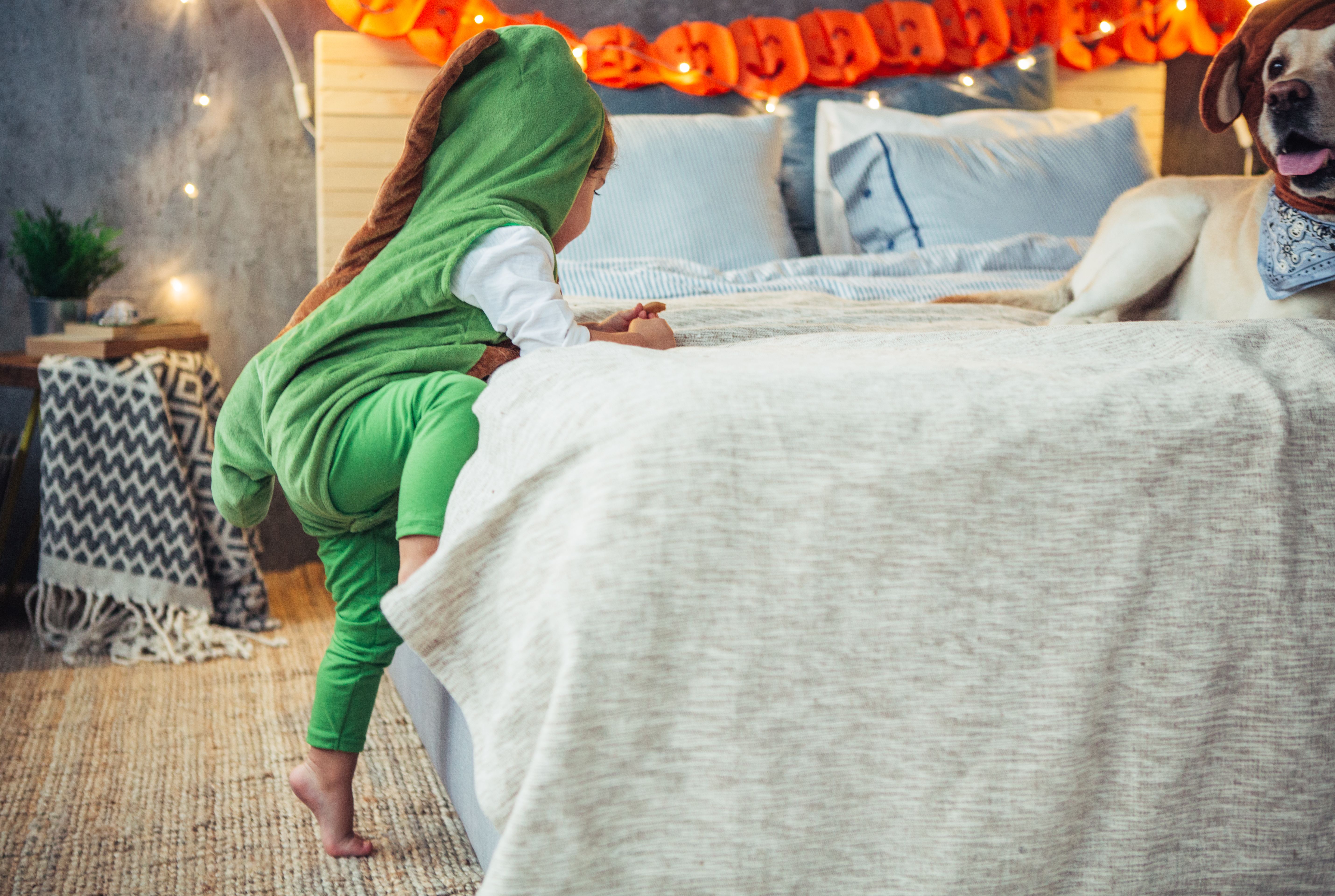 dinosaur decorations