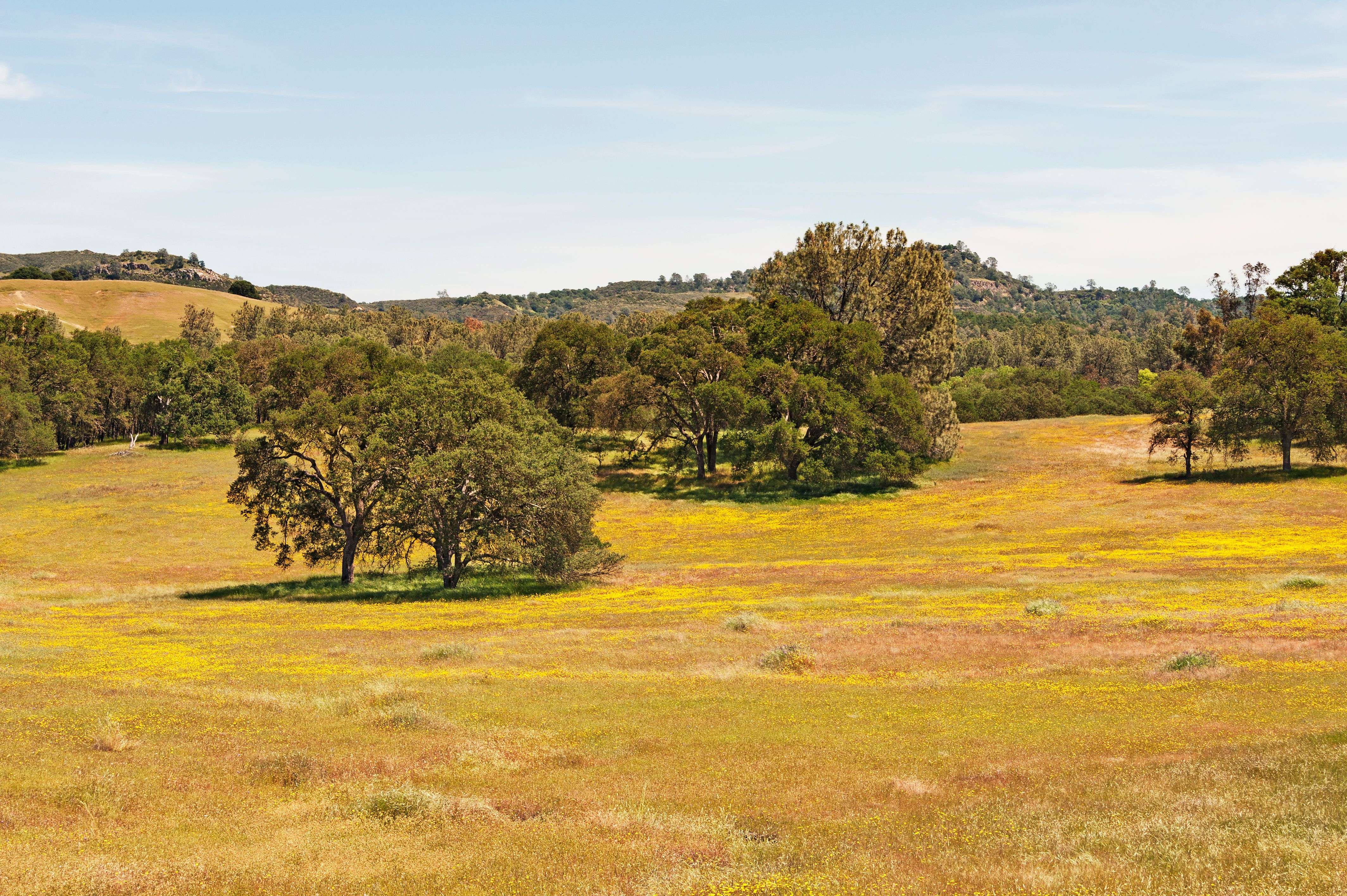 amador county scenery