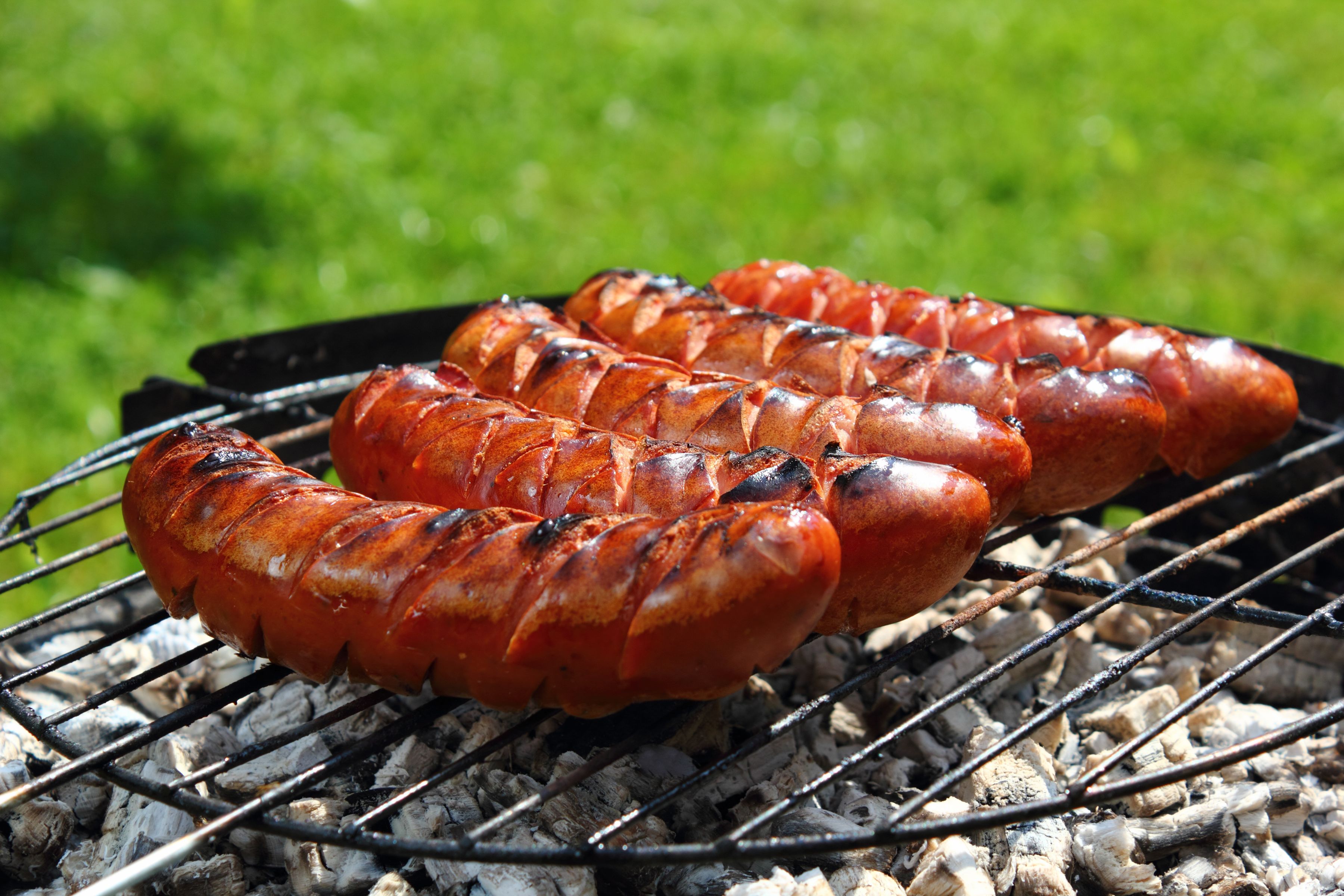 grilled kielbasa