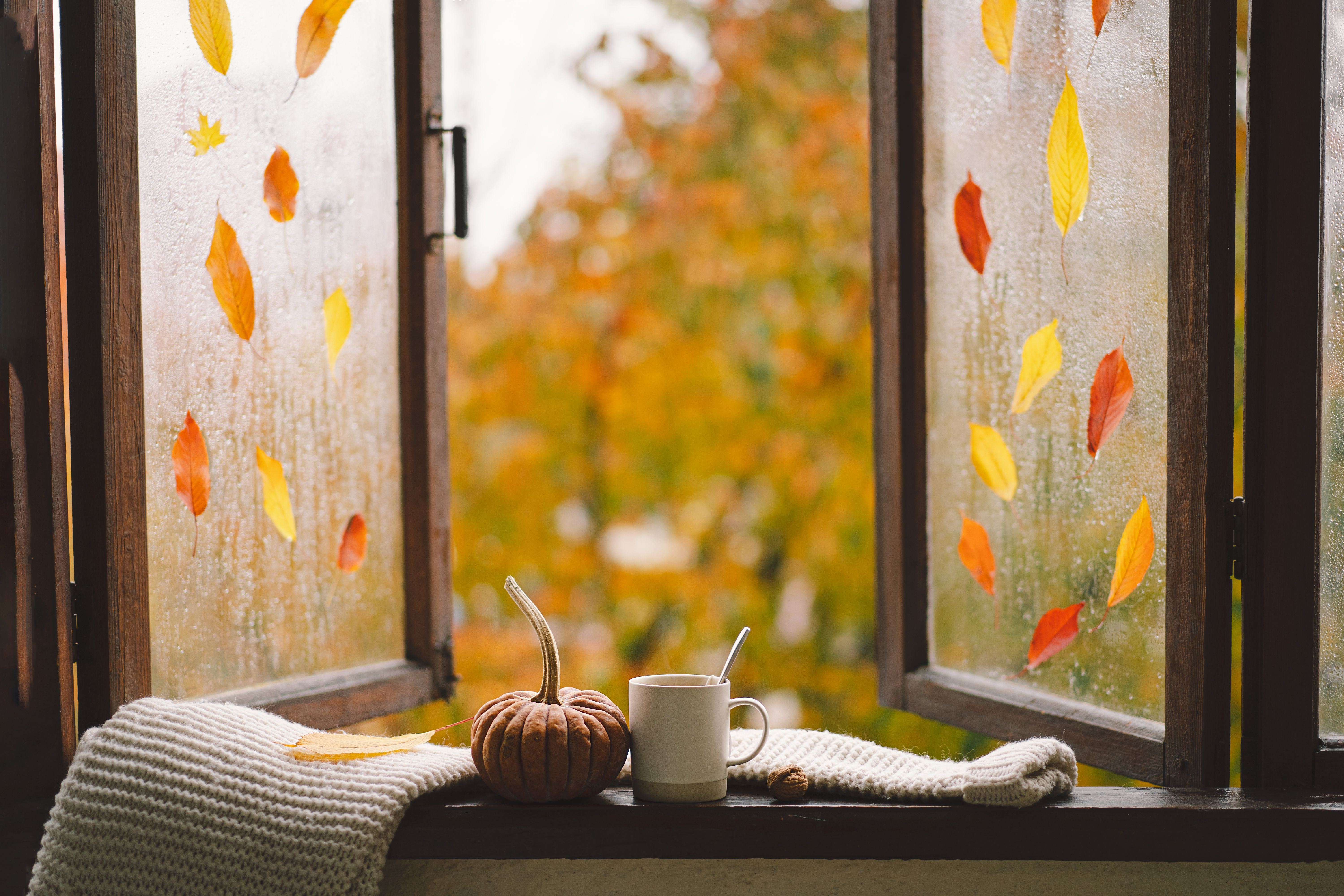 autumn leaves window