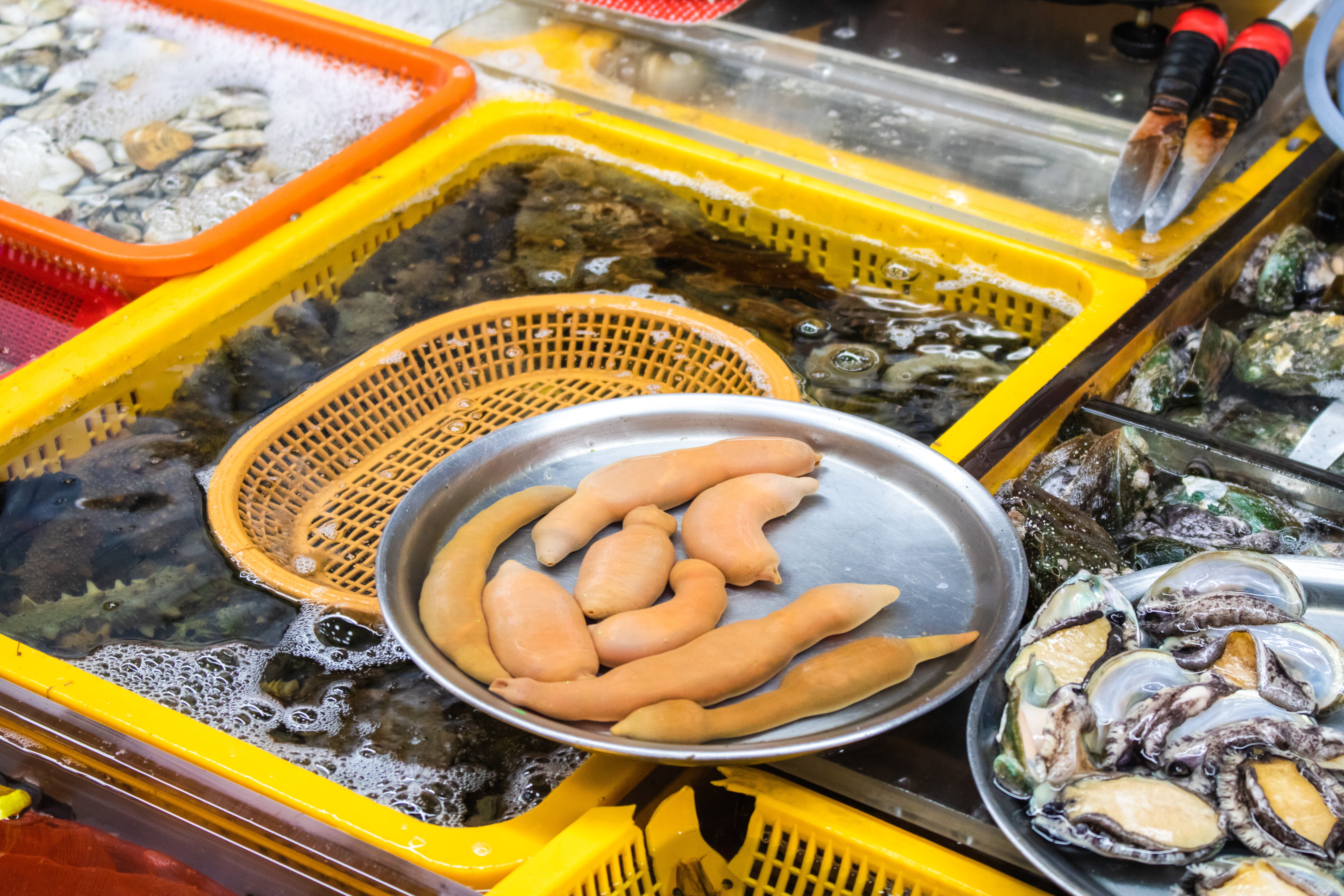 Penis fish or fat innkeeper worm. Raw seafood in Jagalchi fish market in Busan, South Korea.