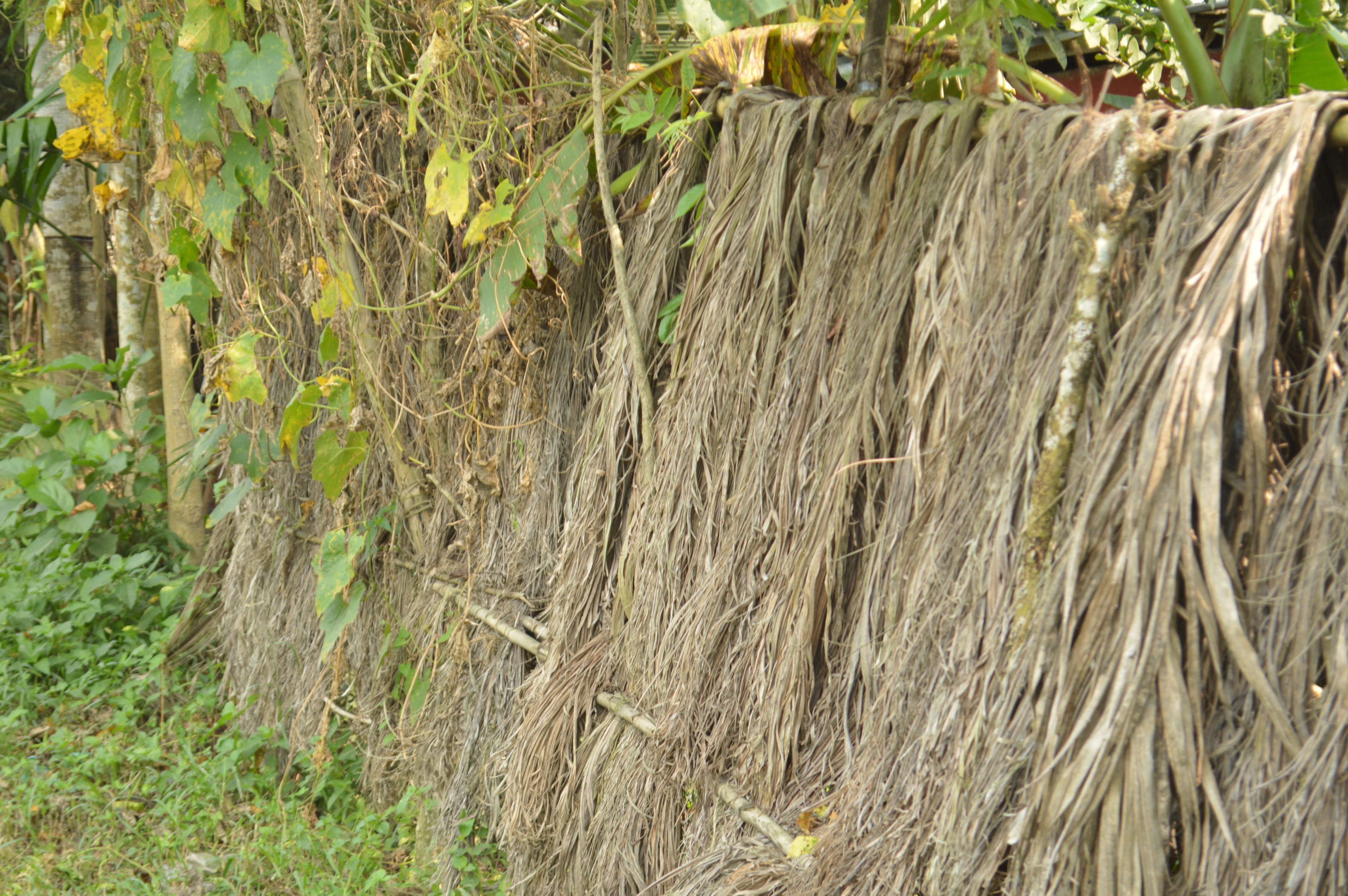 natural fence design