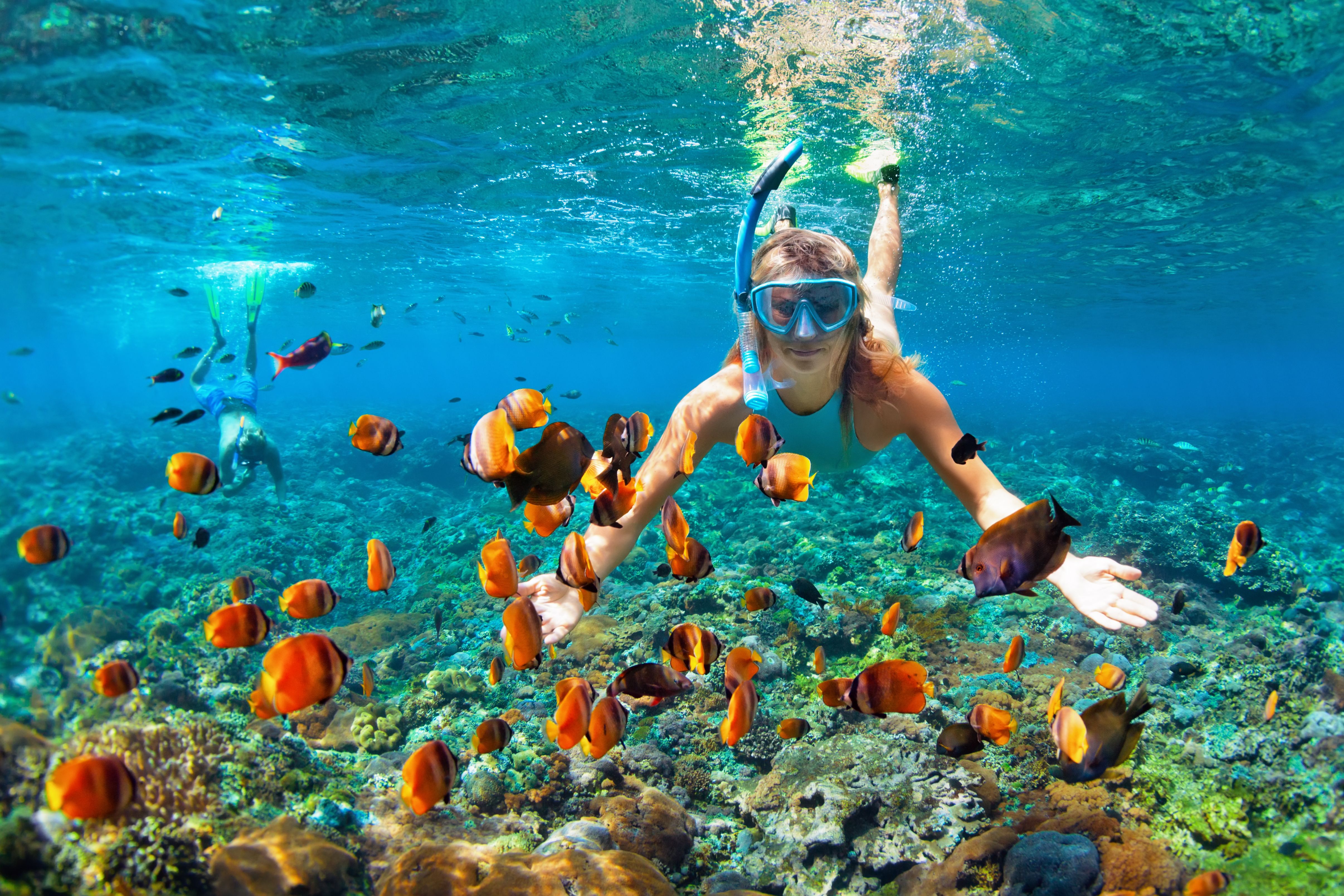 snorkeling adventure