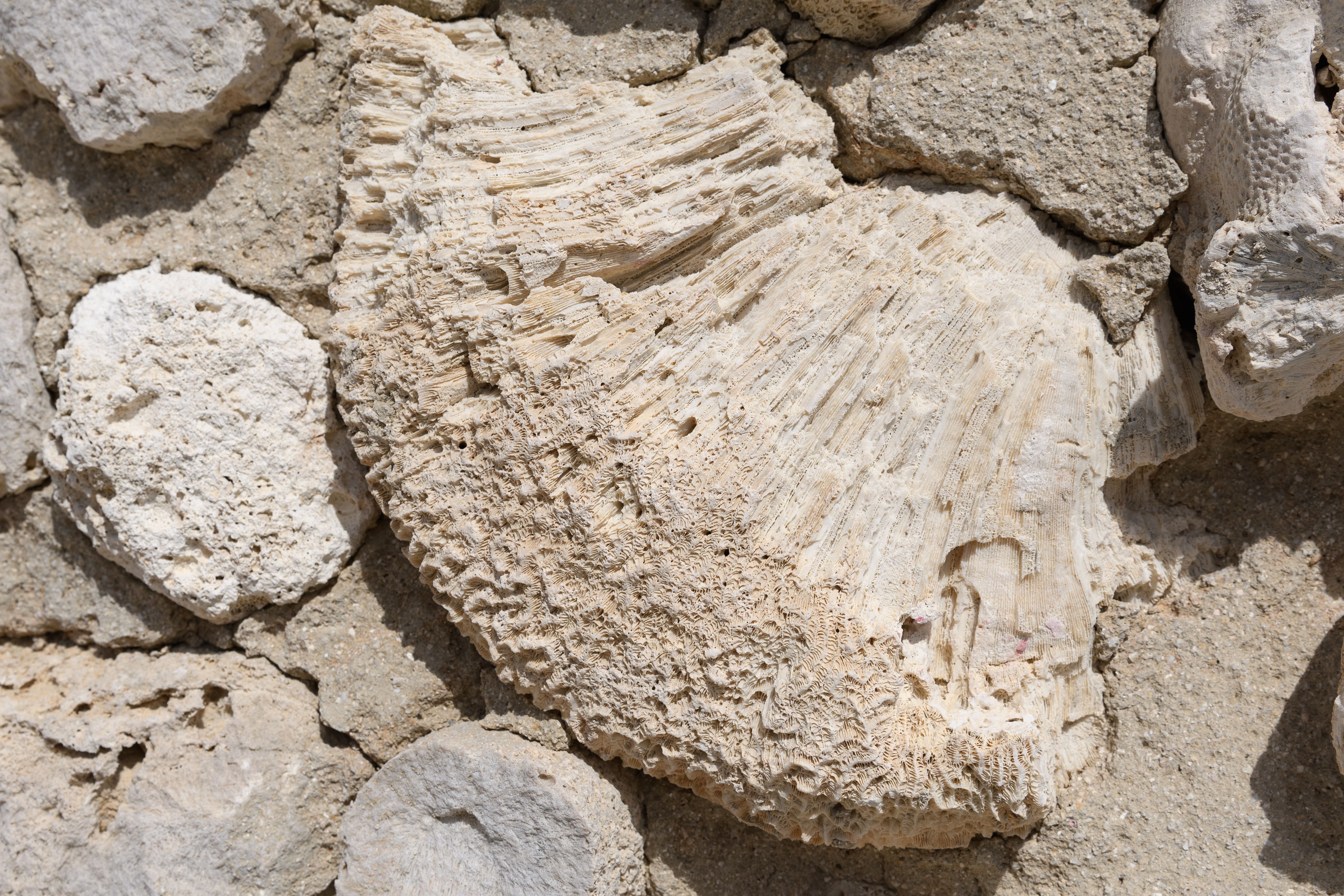 limestone restoration