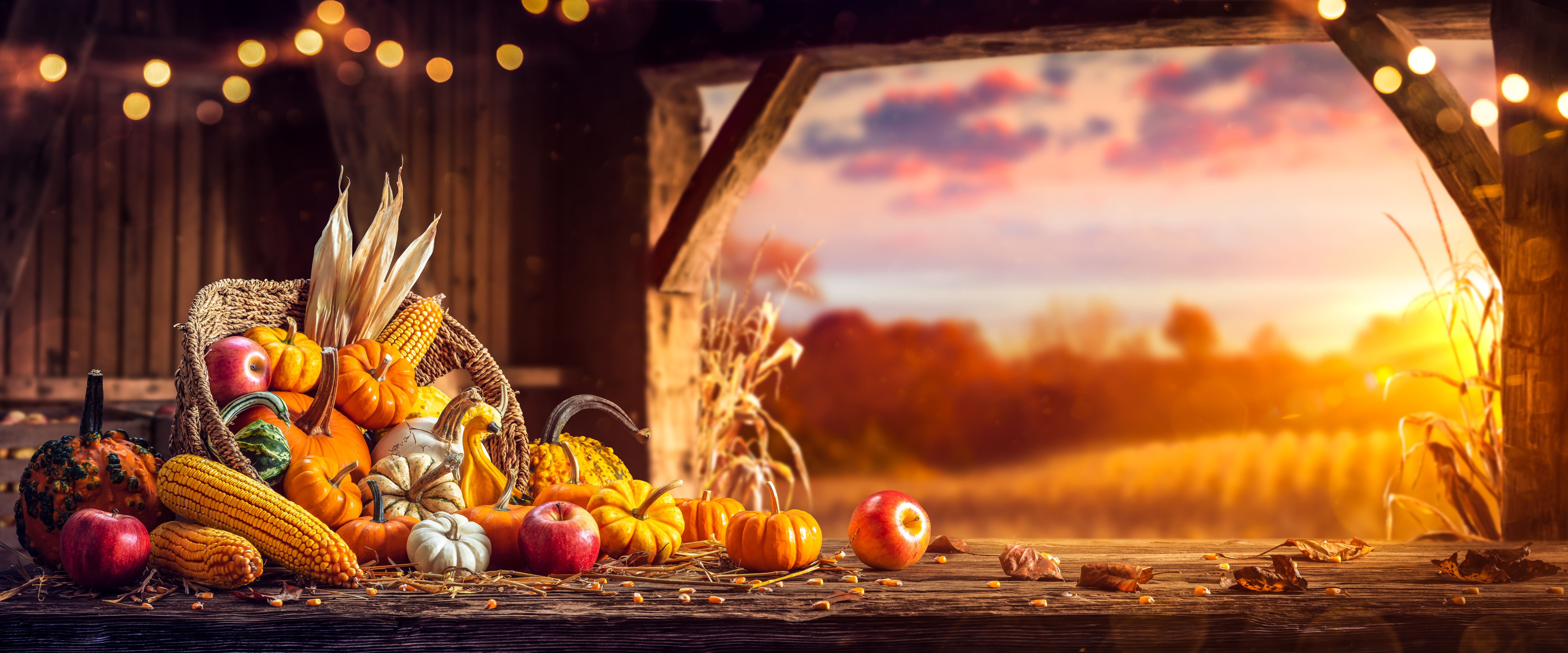 autumn harvest photo booth