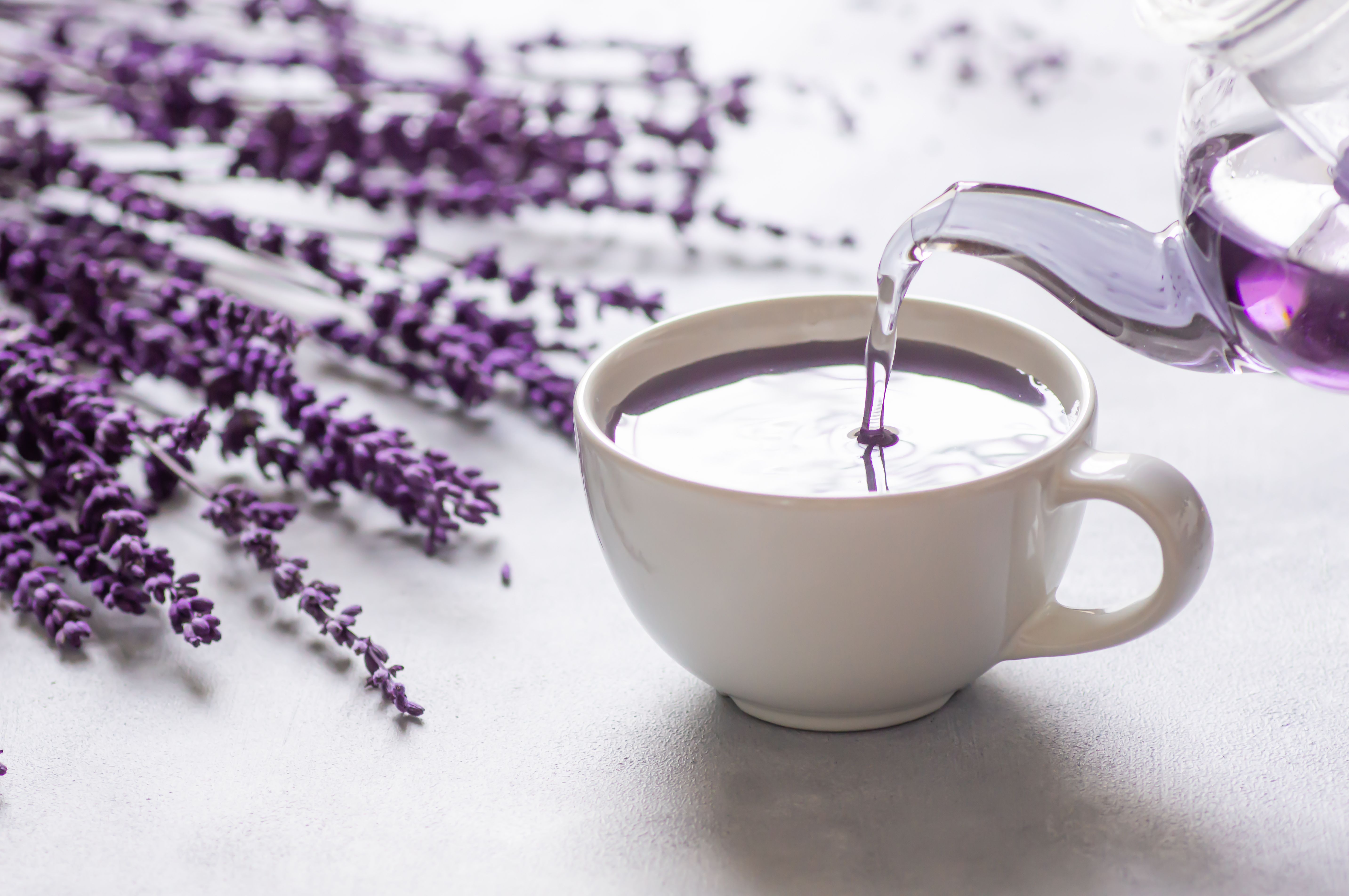 Cup of lavender tea with dried lavender flowers on rustic table, herbal relaxing tea. Lavendula oleum