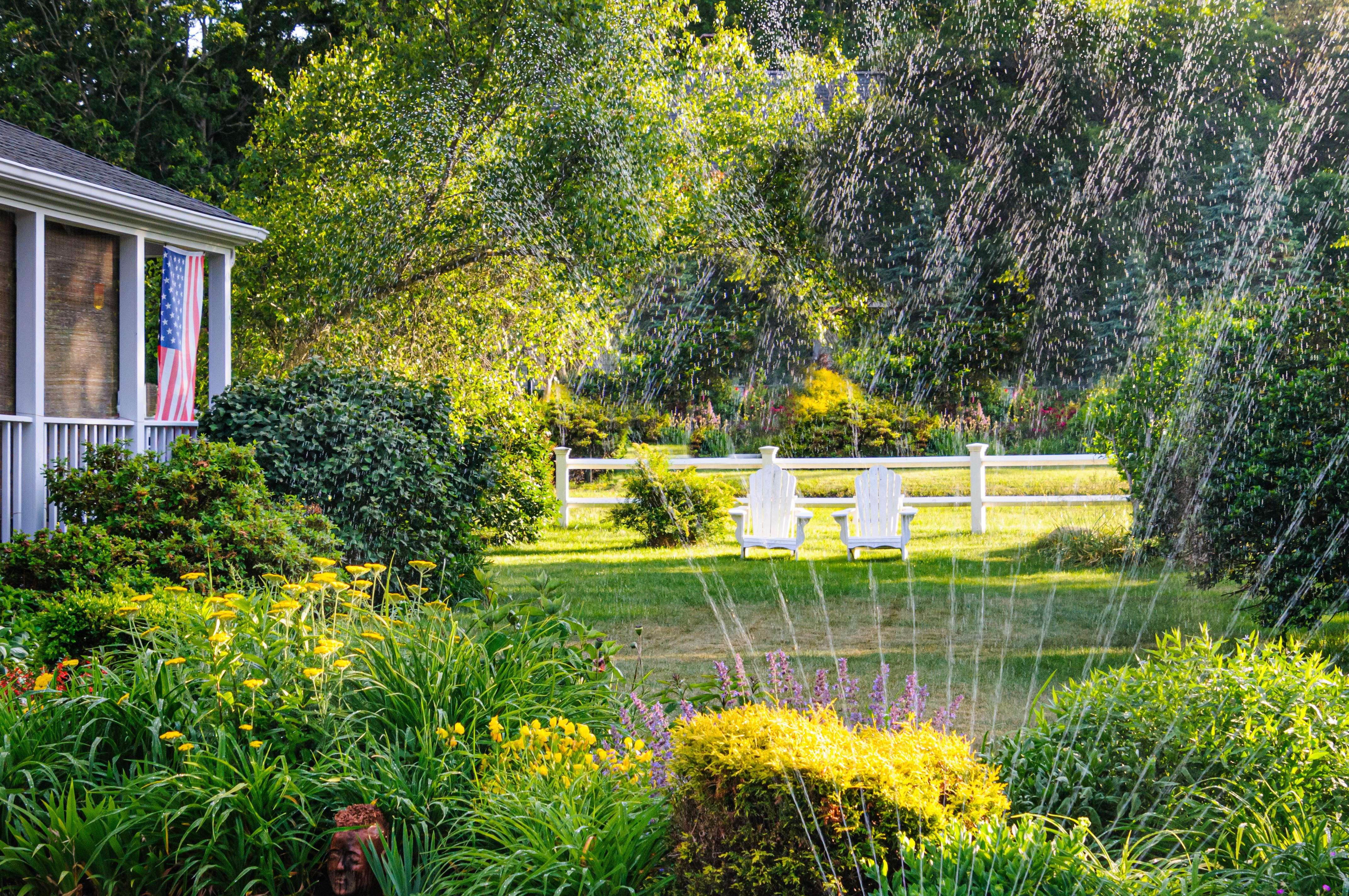 watering summer garden