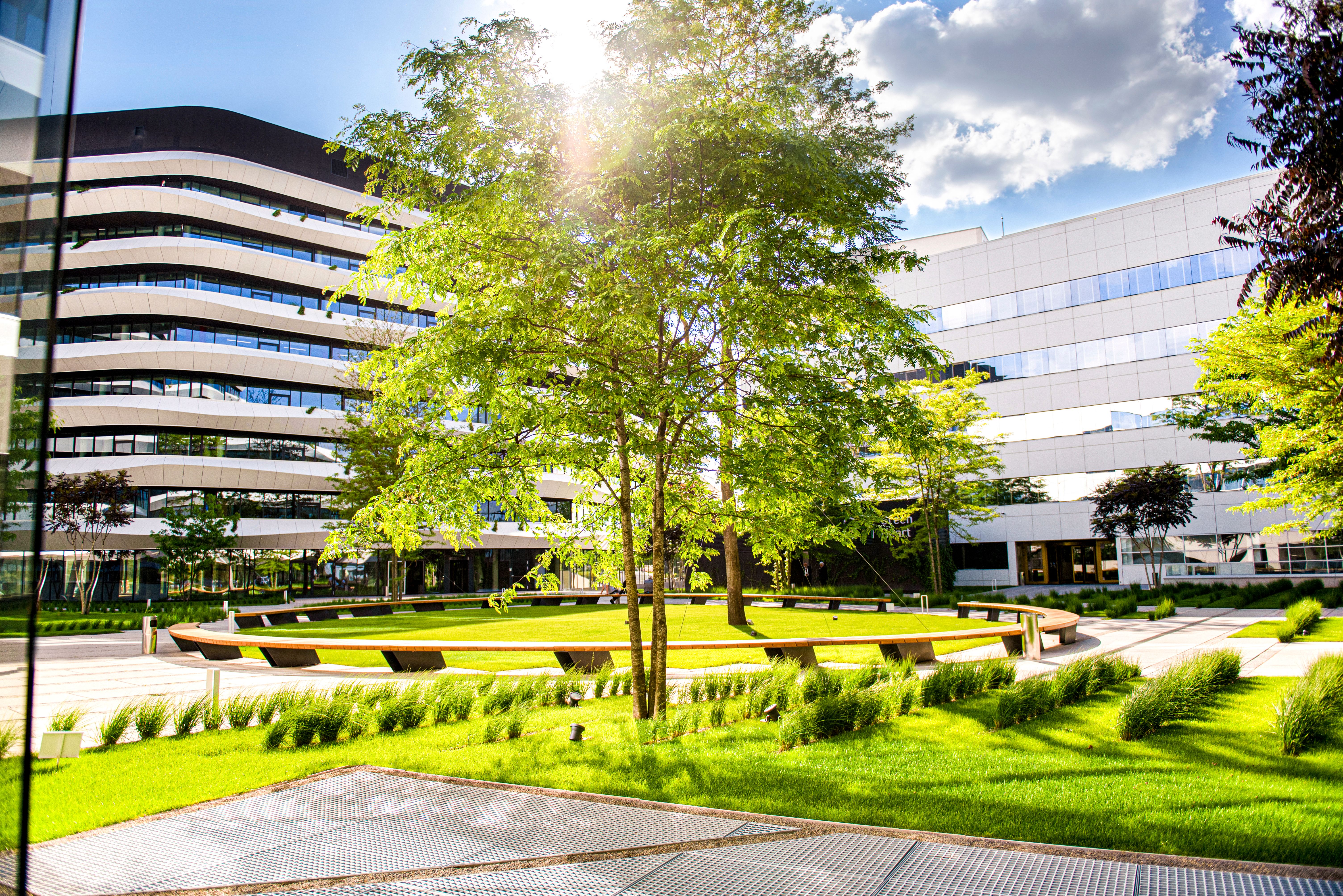 commercial green space