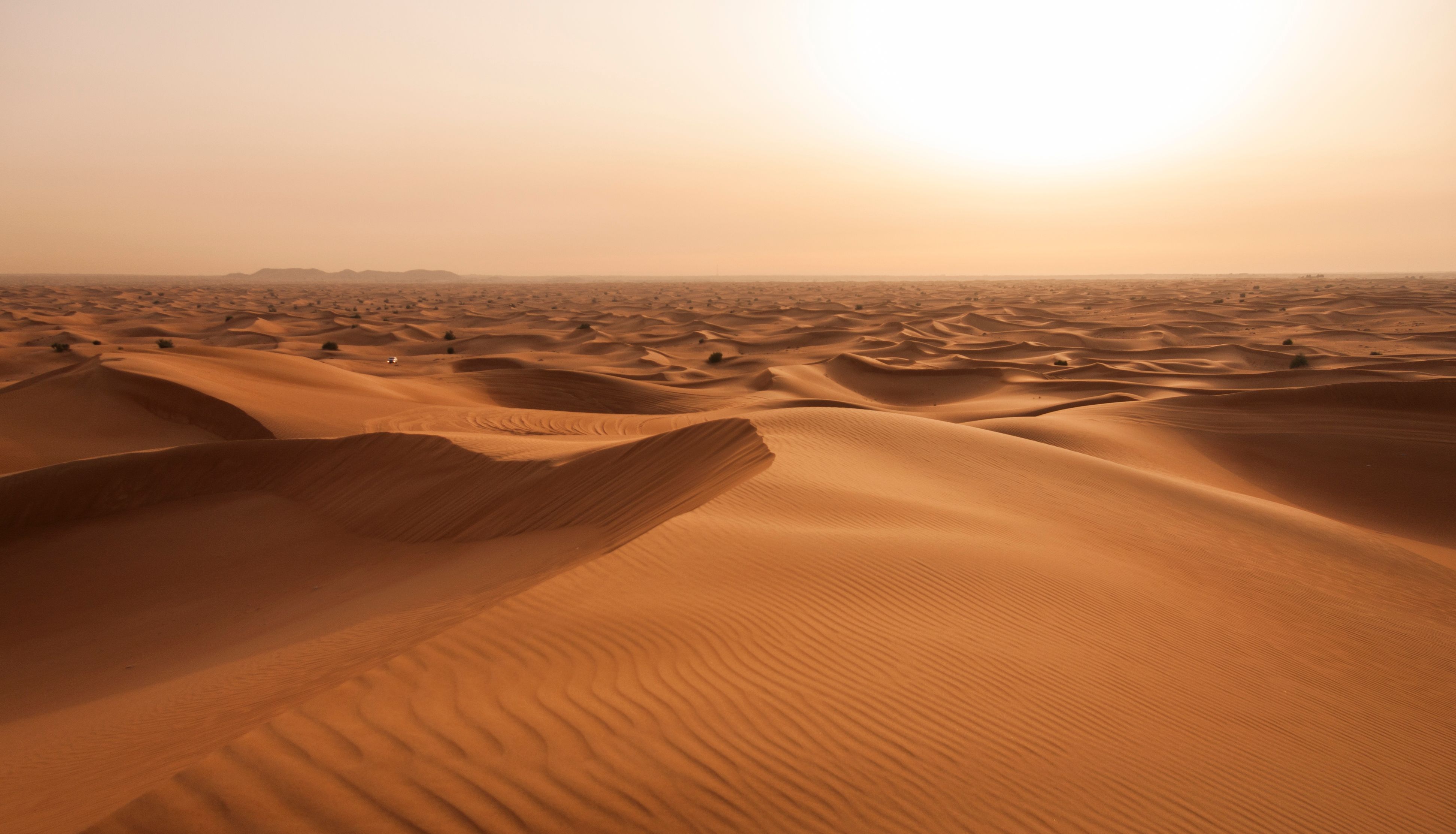 uae desert adventure