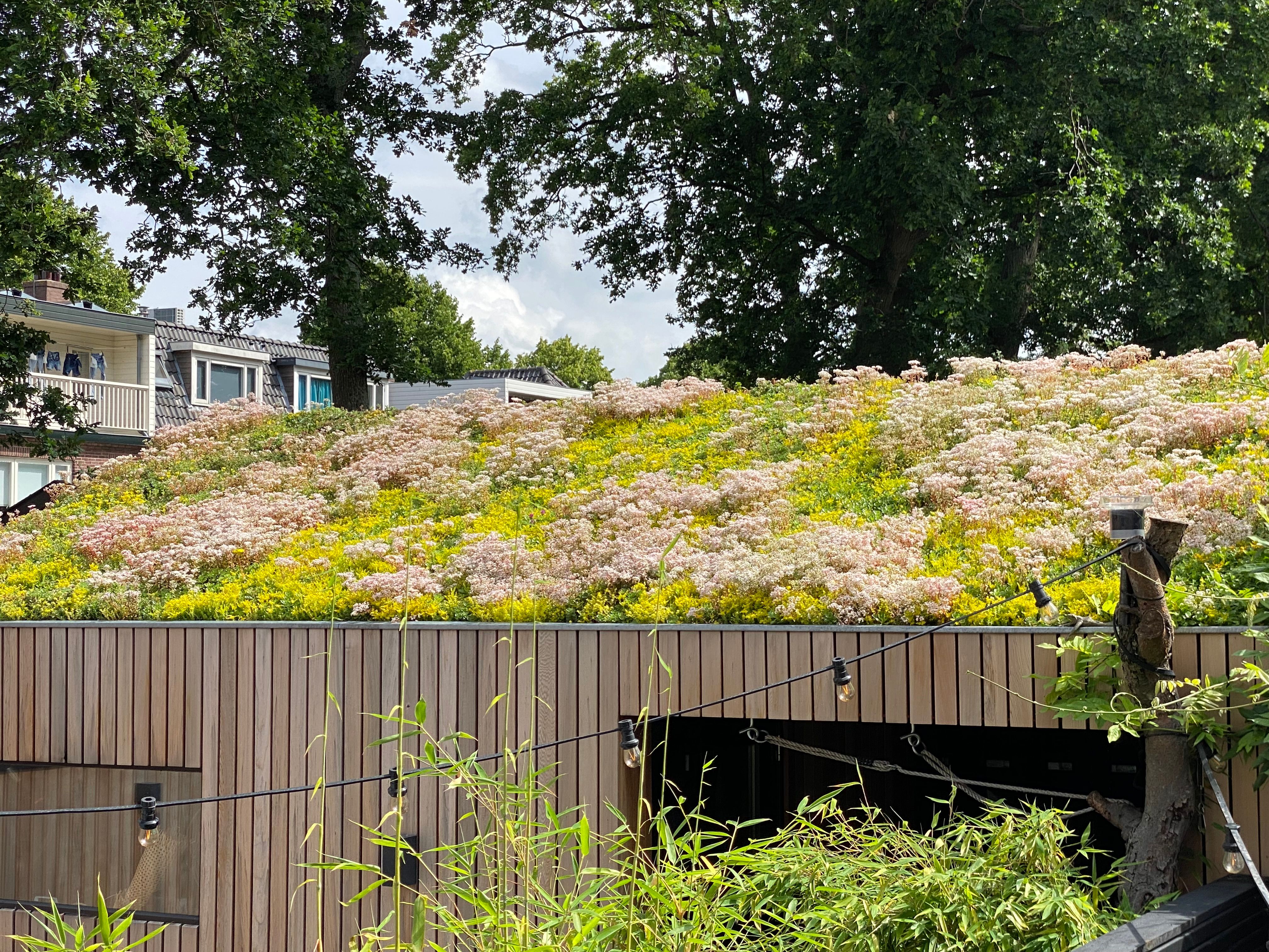 green roofs