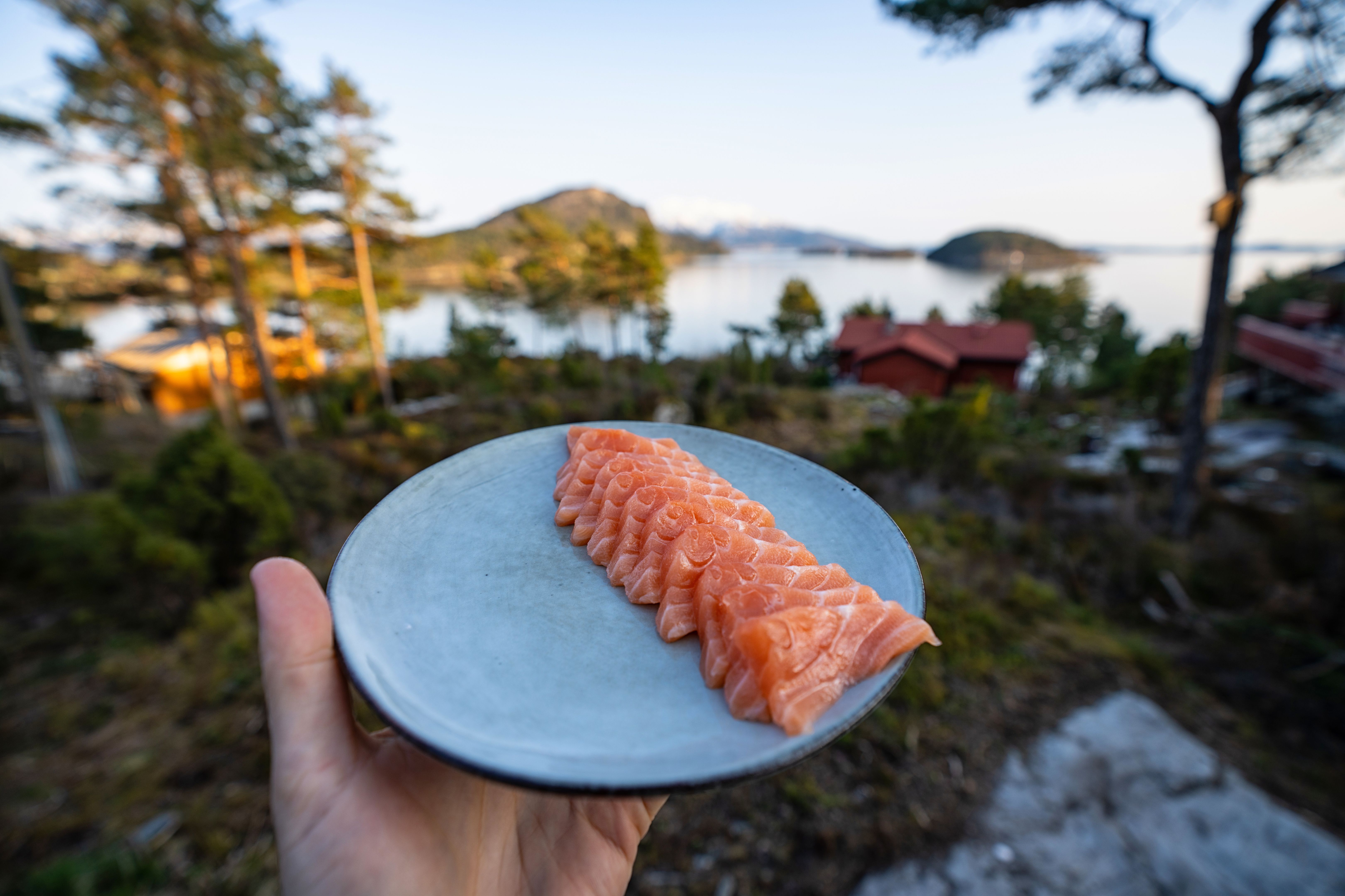 norwegian fjord seafood