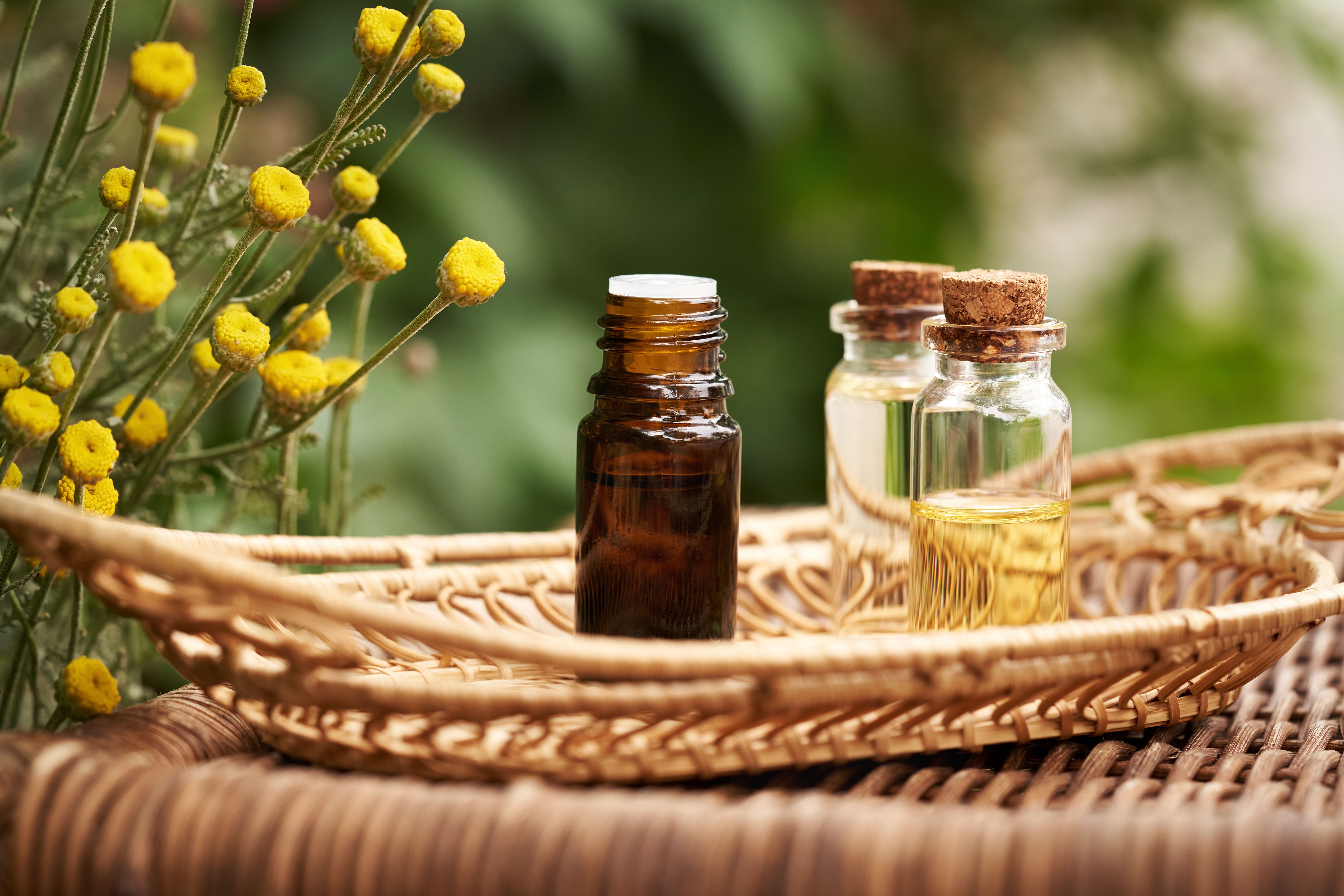 aromatherapy essential oils