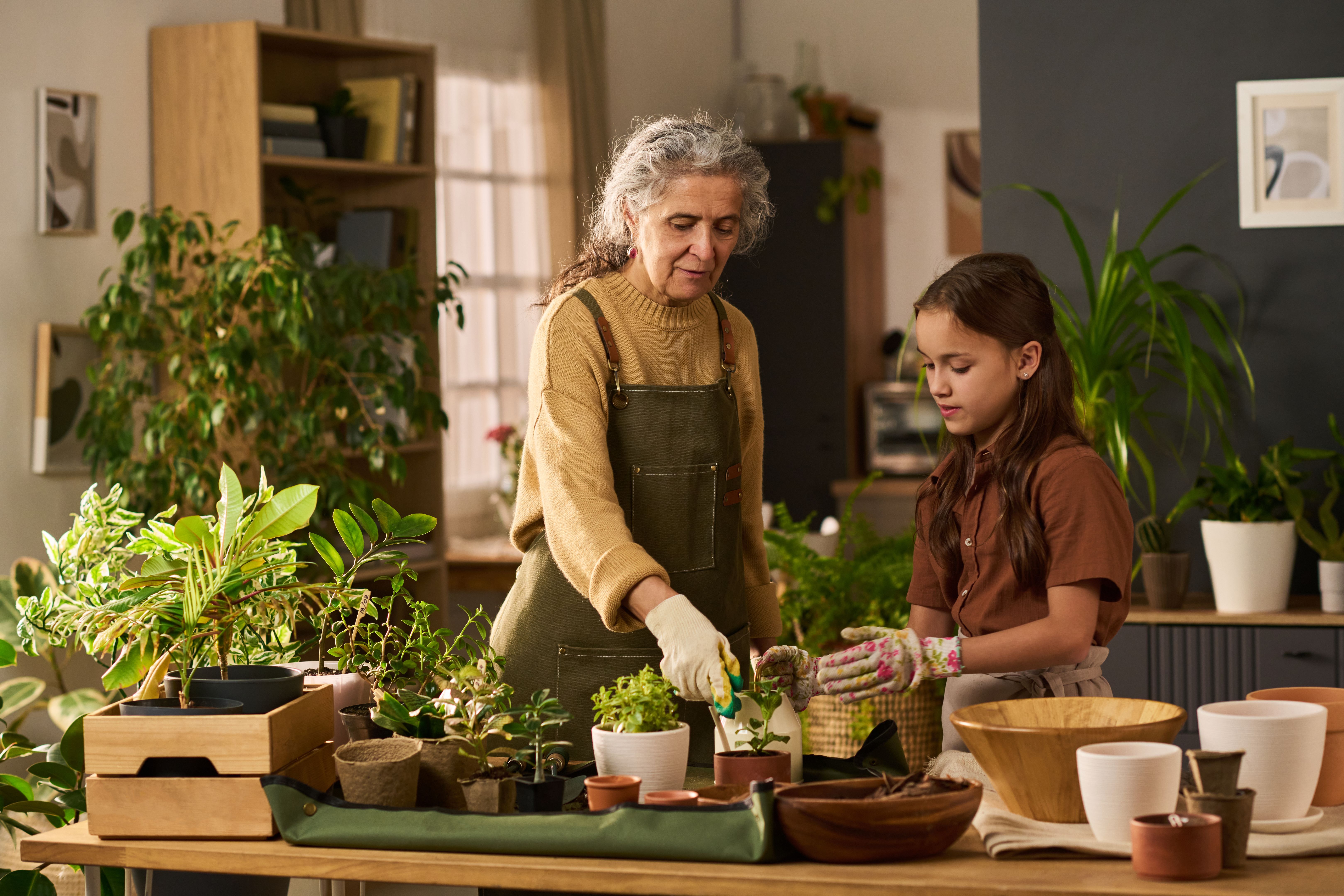 sustainability consulting