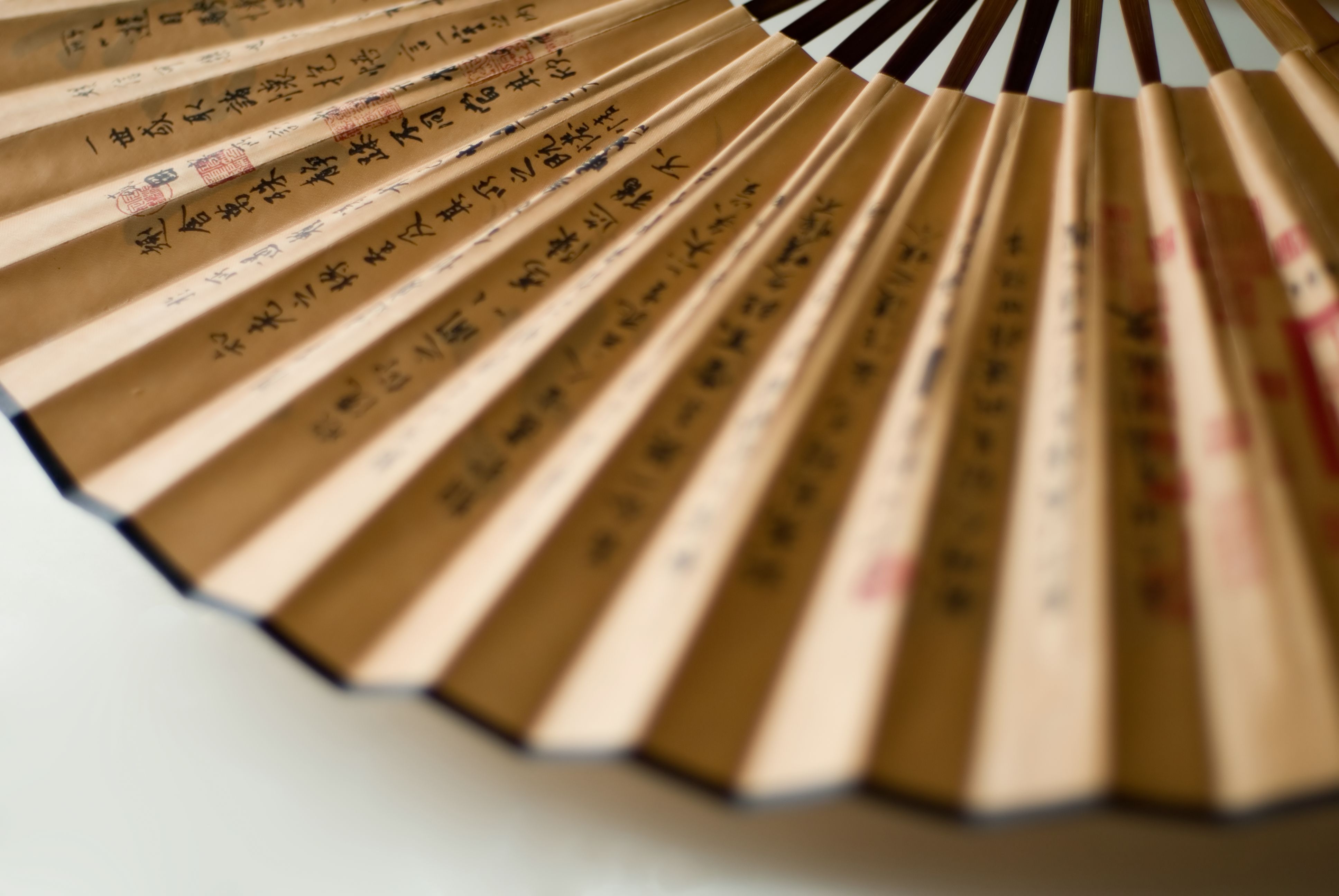 fan tokens