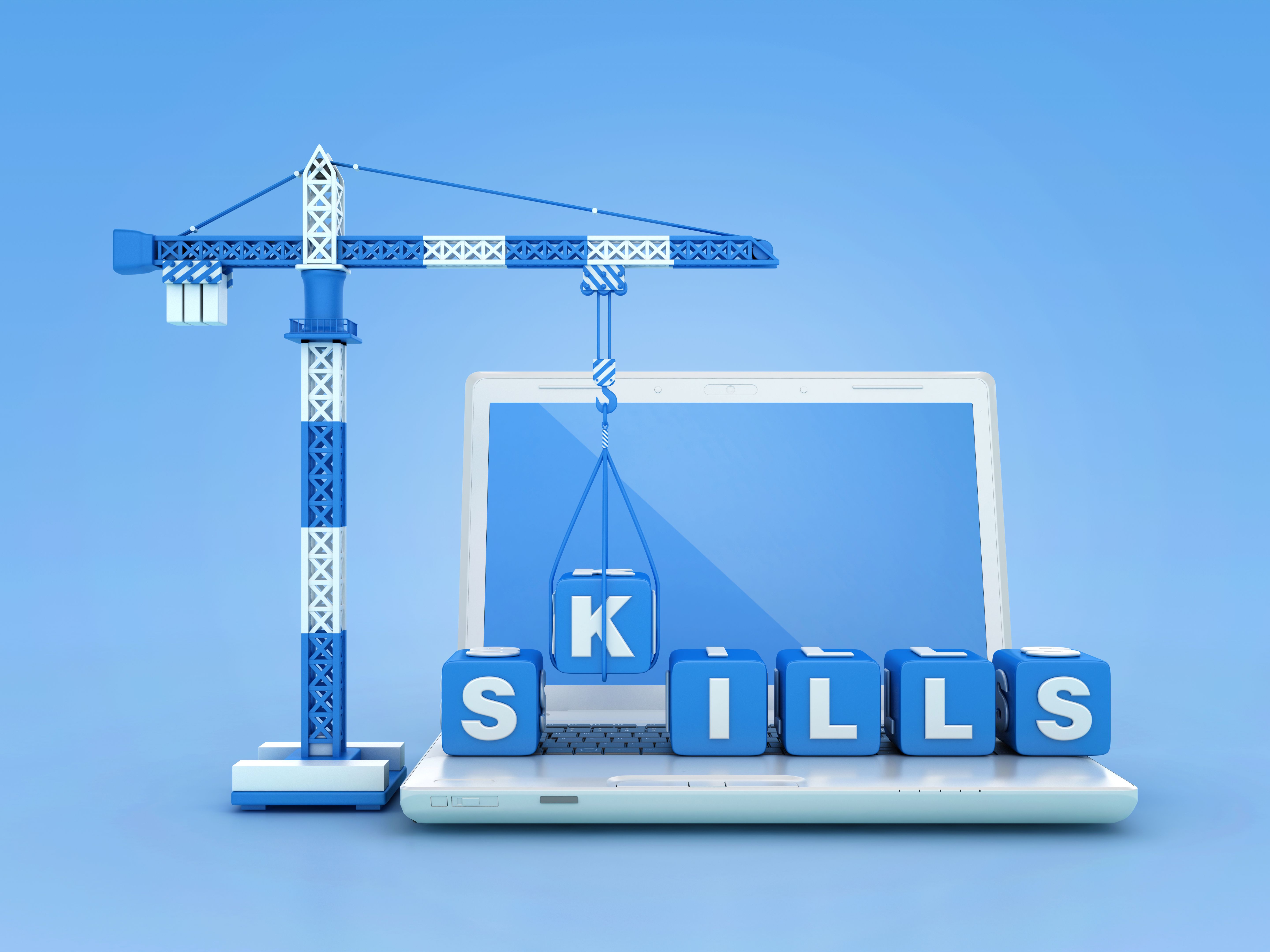 crane training