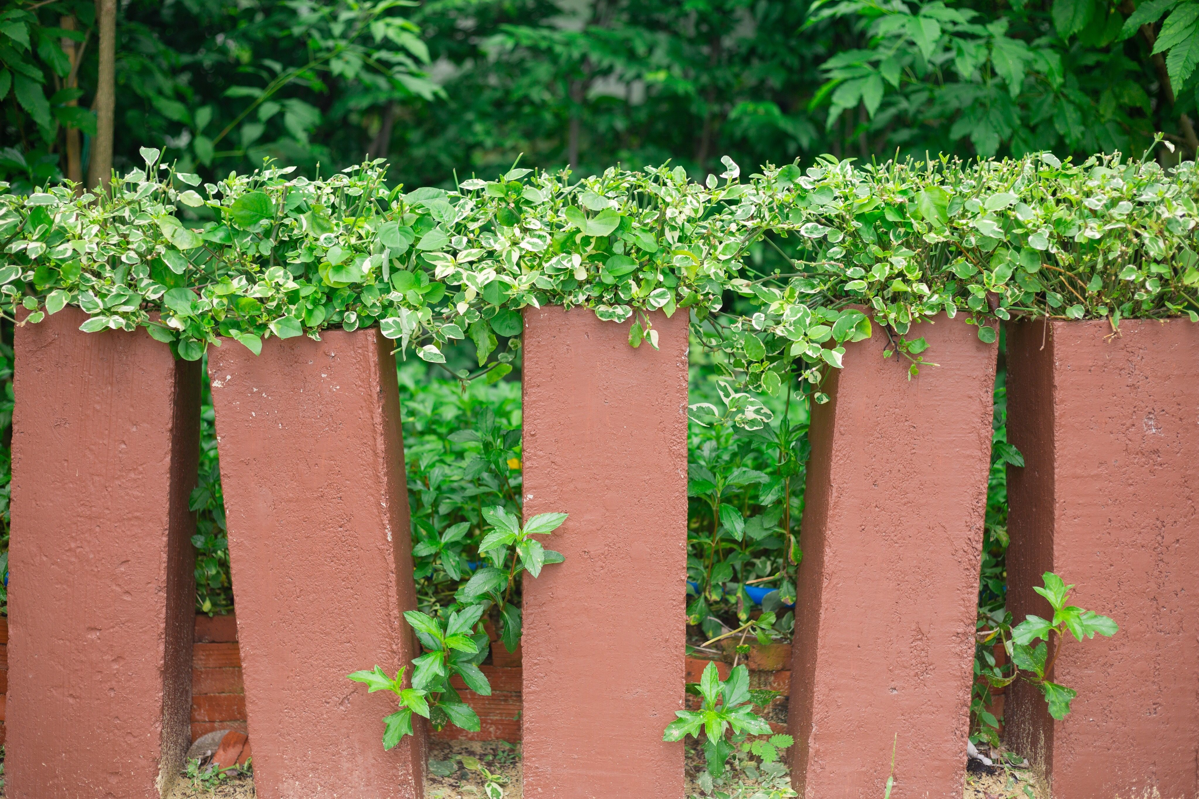 eco-friendly fence design