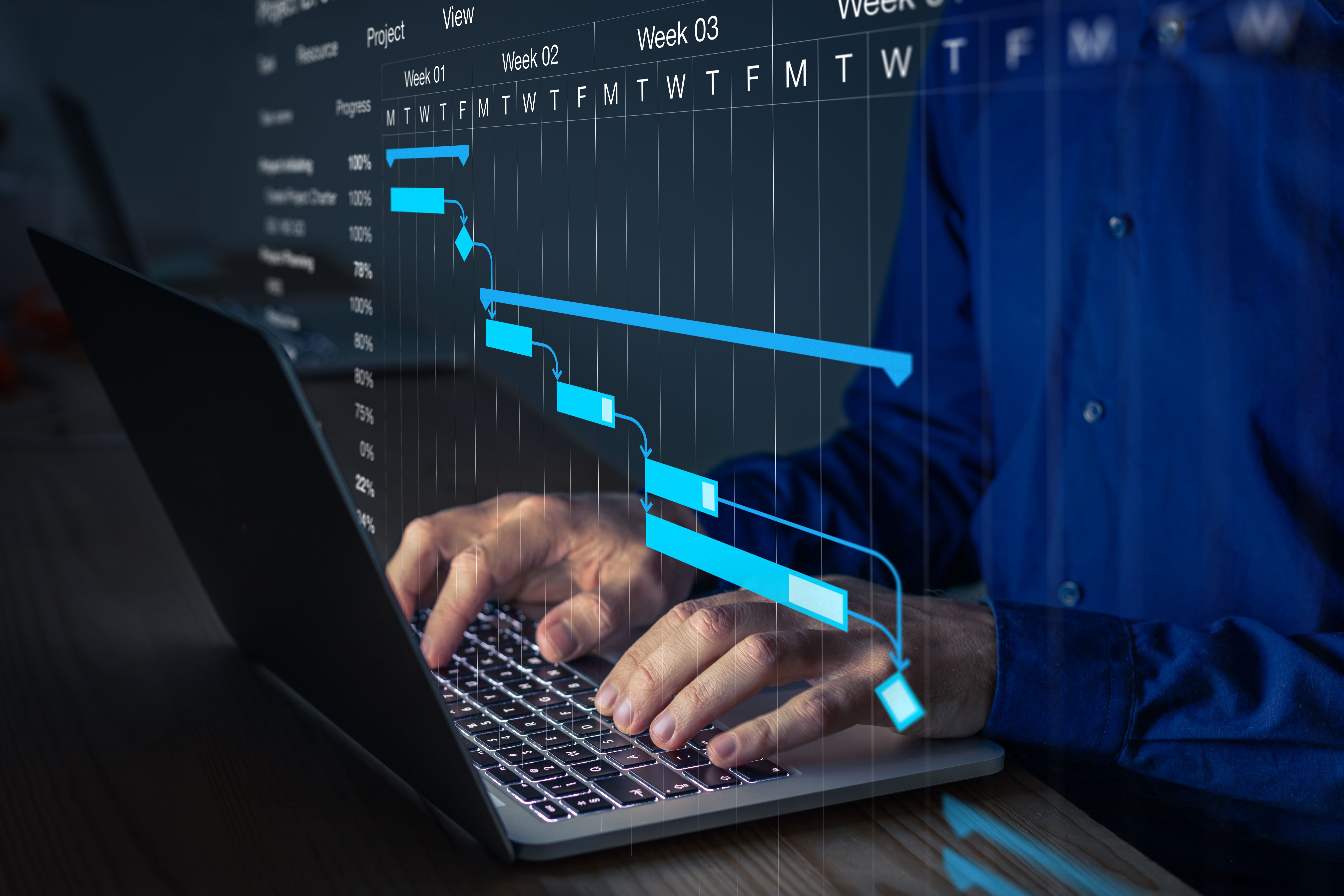 project management consultant