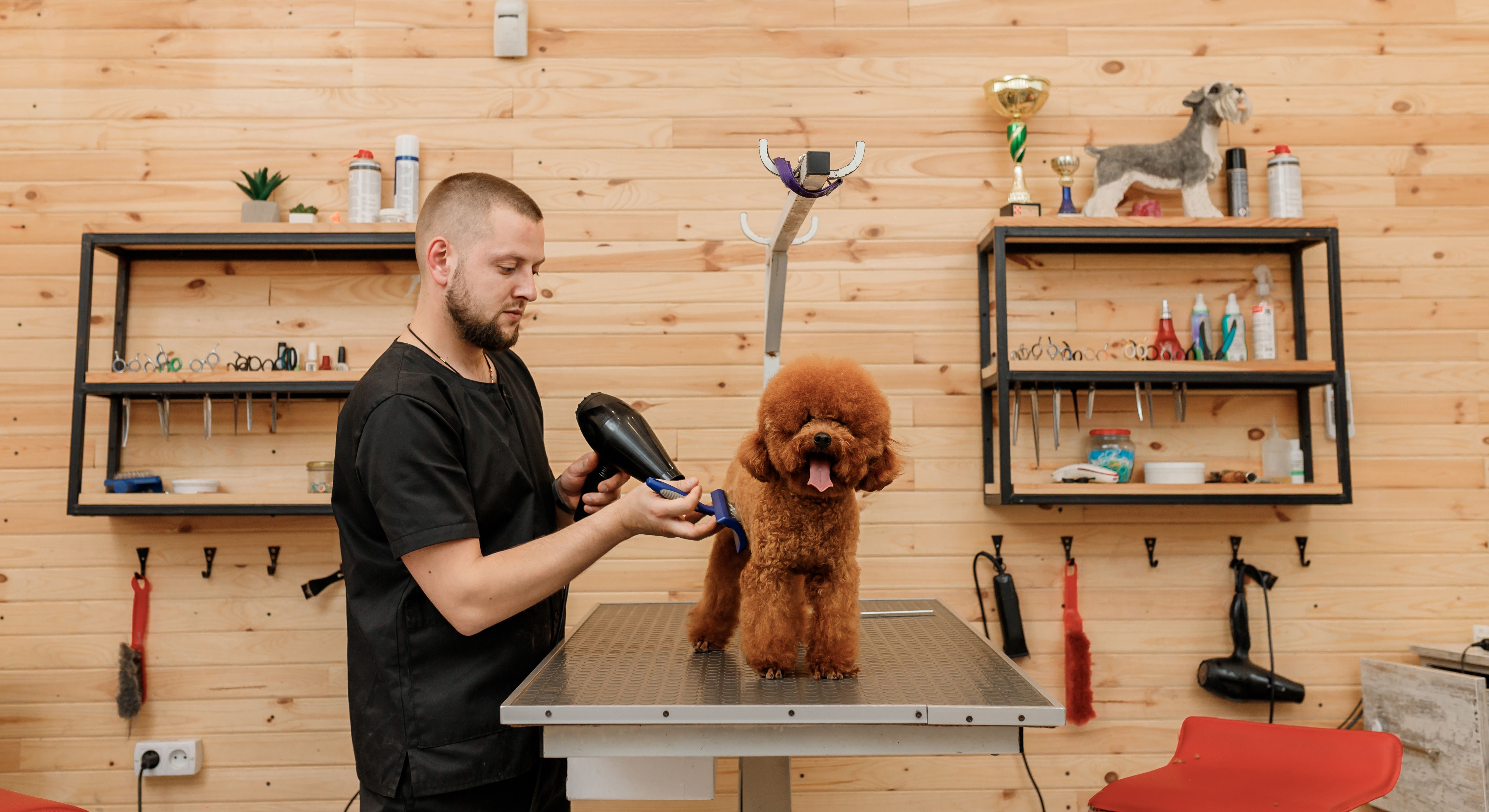 professional pet groomer