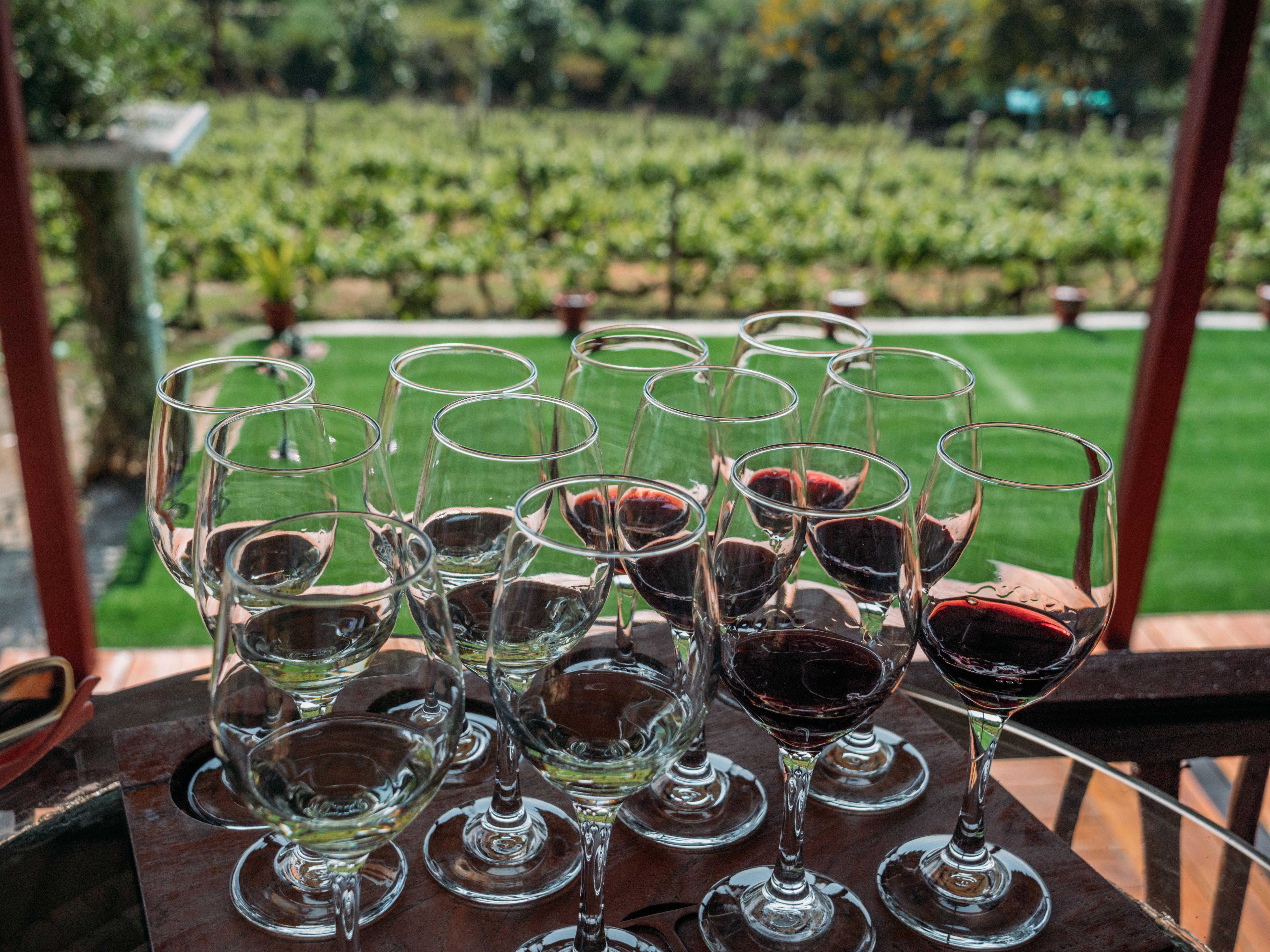 Multiple glasses of wine ready for tasting