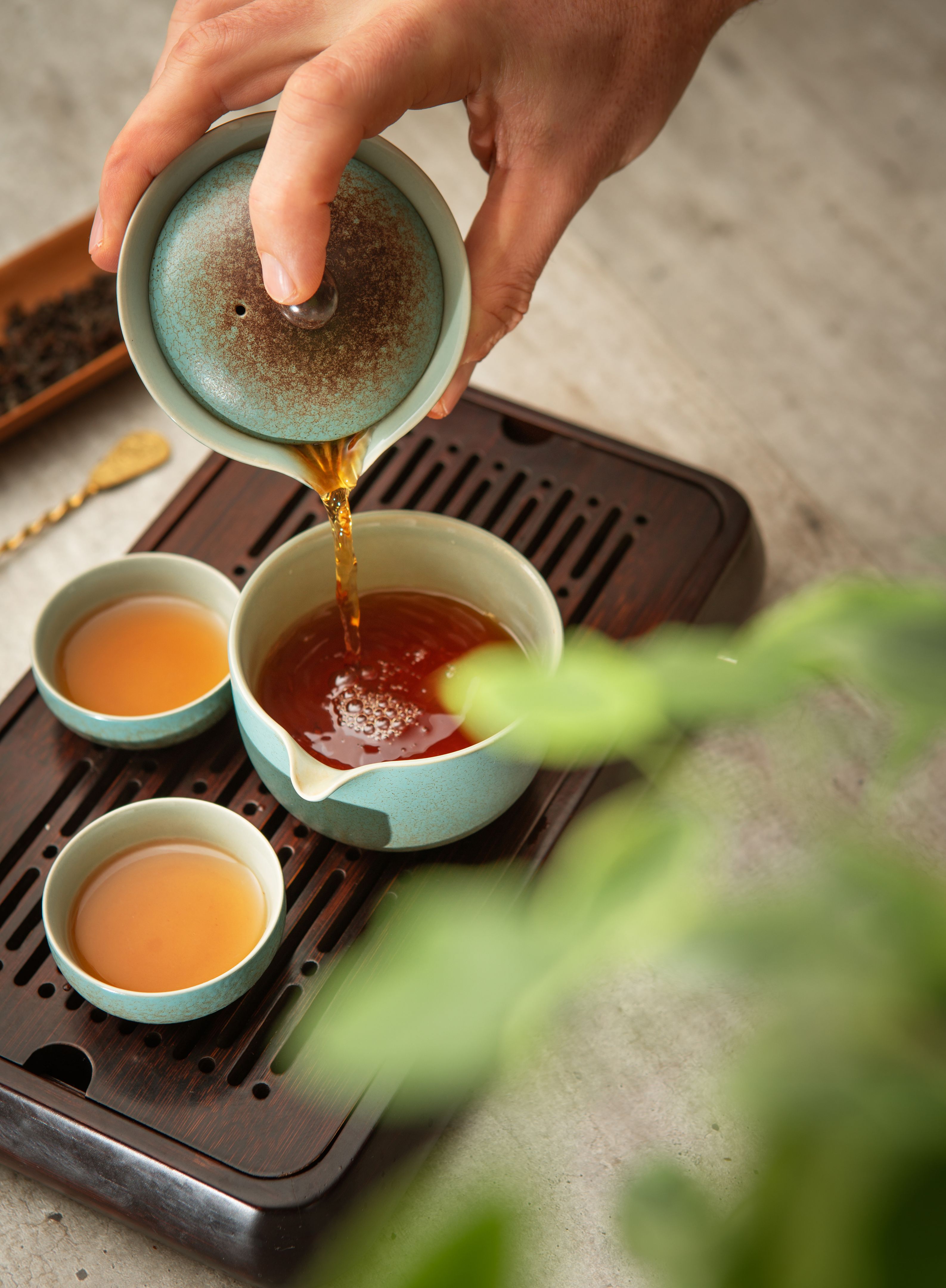 martial arts nutrition