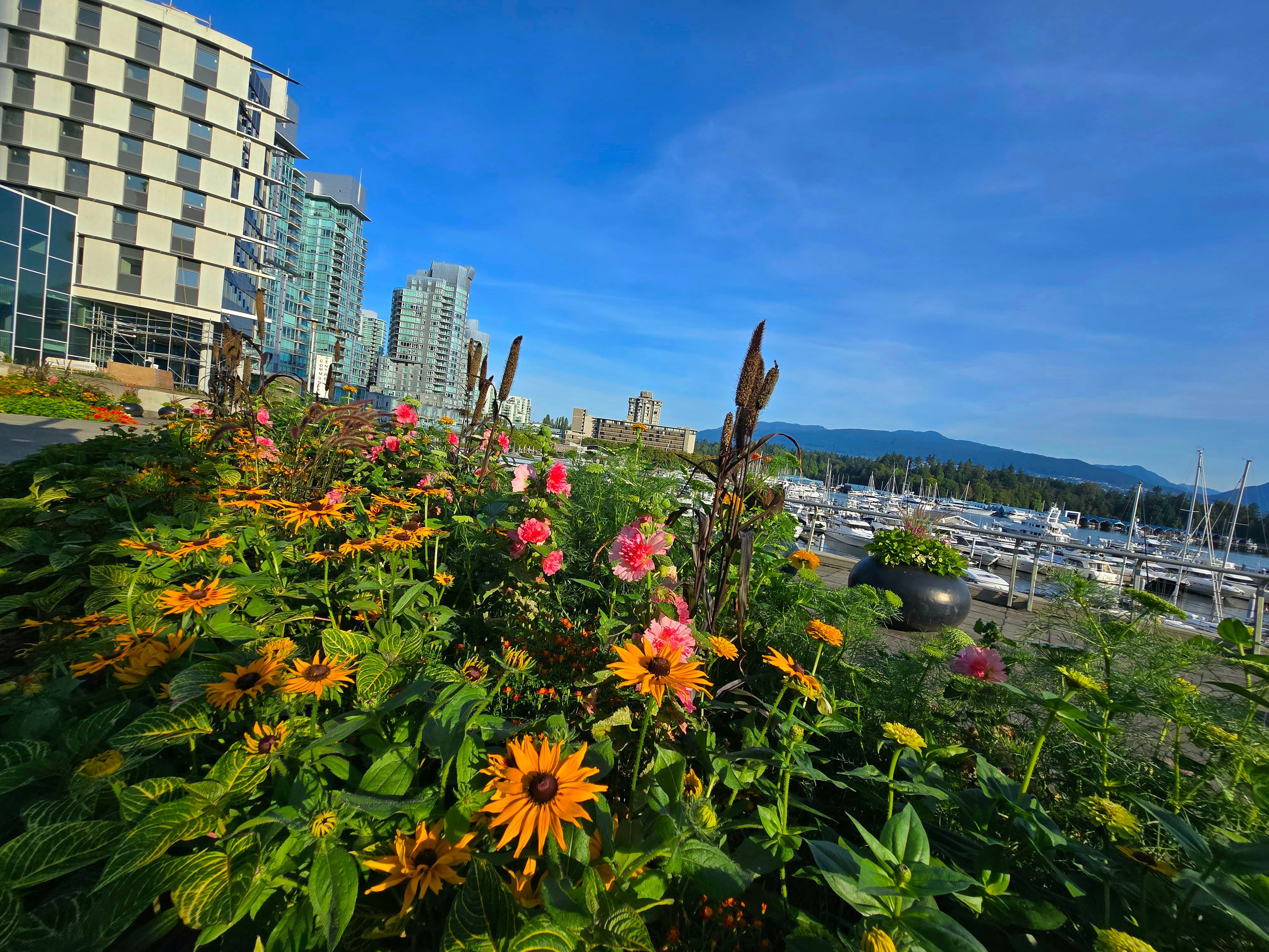 community event vancouver