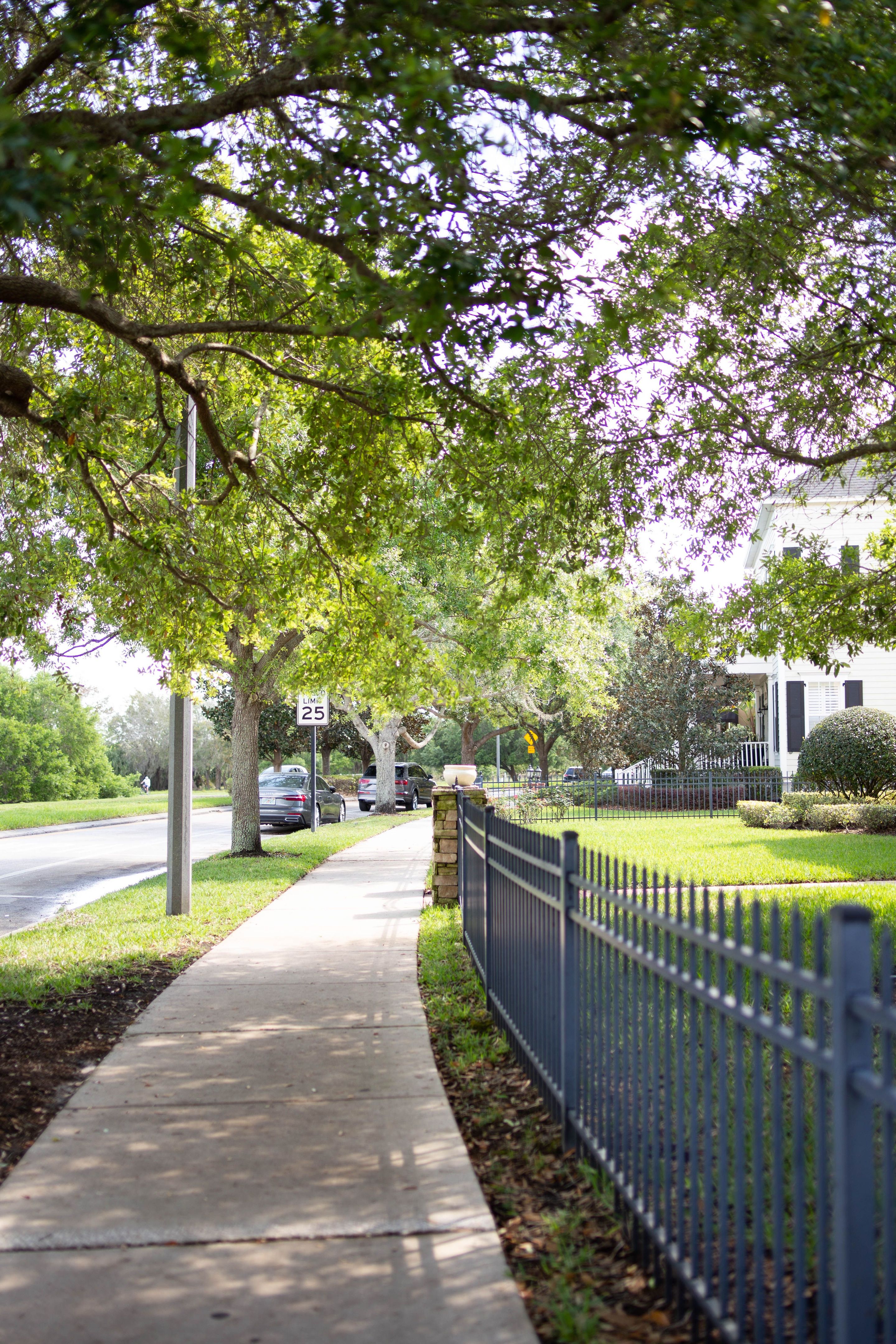 seffner neighborhood