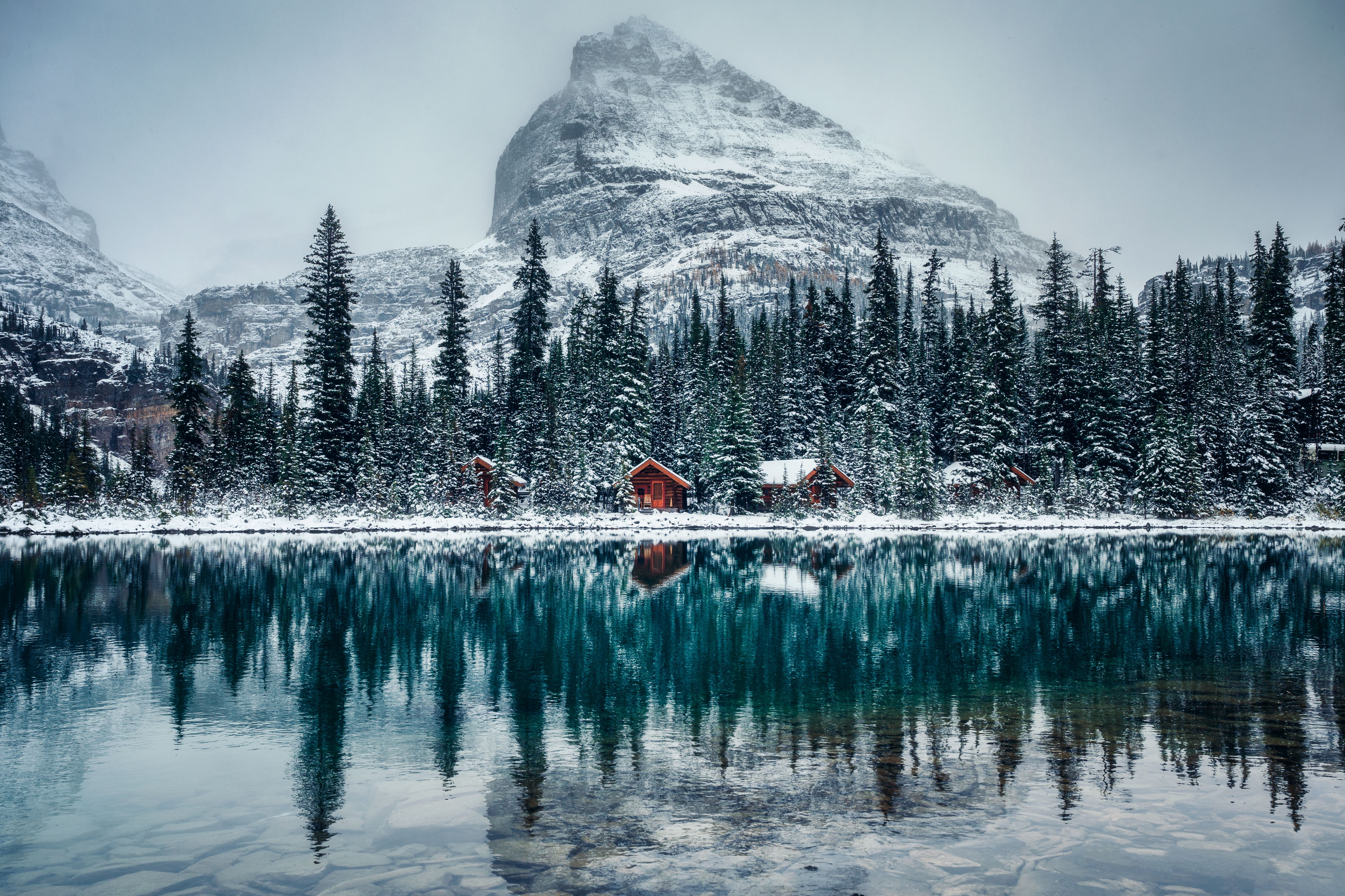 Wooden lodge in pine forest with heavy snow reflection on Lake O'hara at Yoho national park