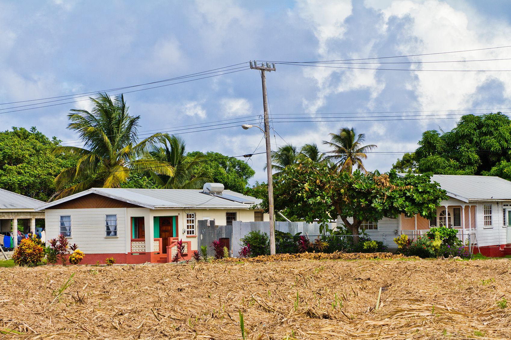 barbados pest control