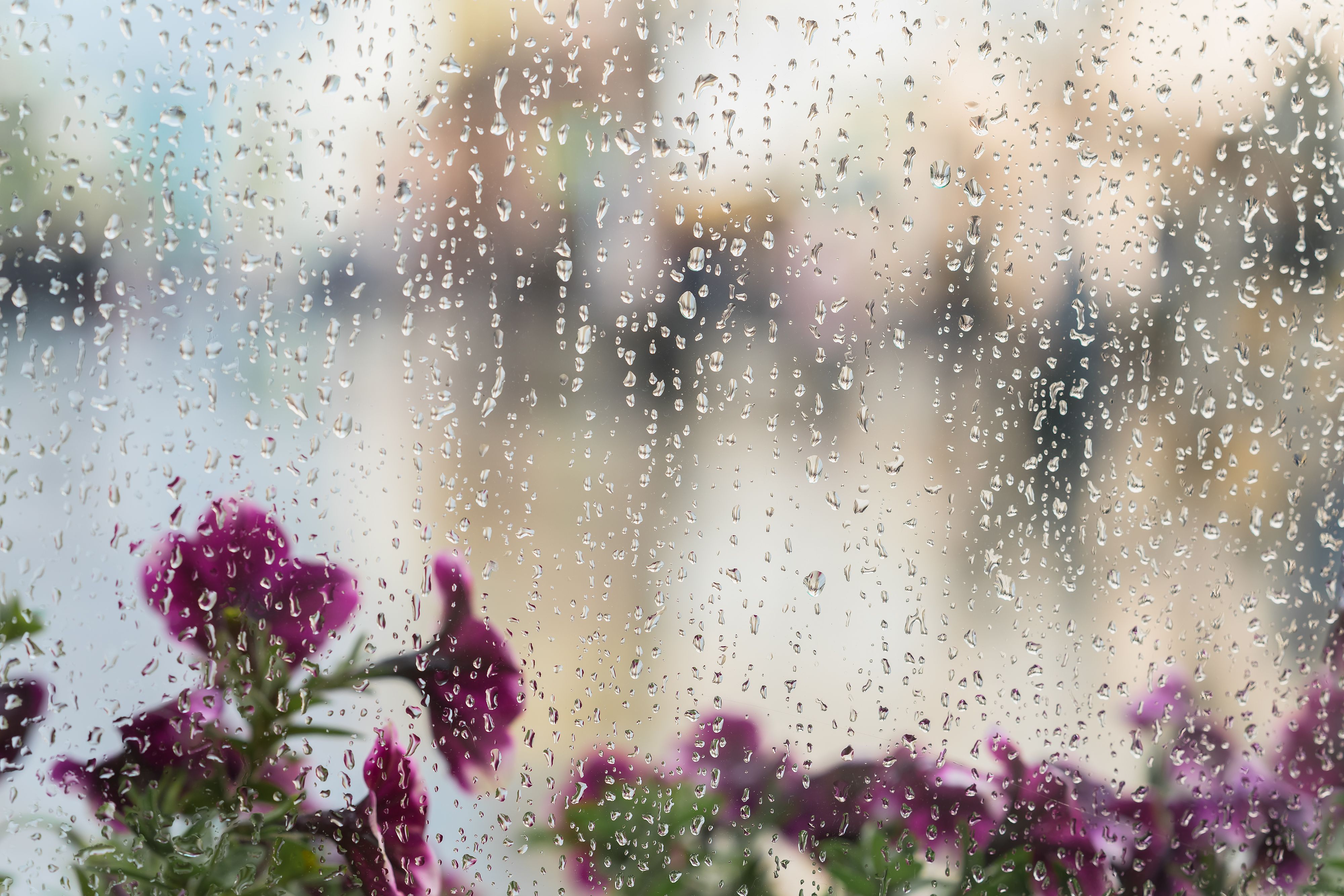 spring rain windows