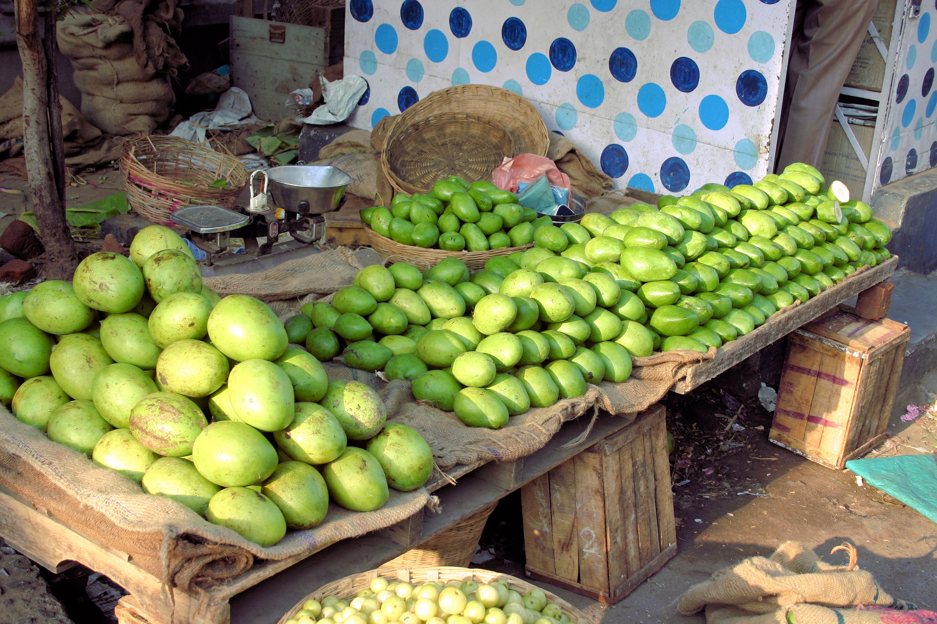 sustainable products chennai