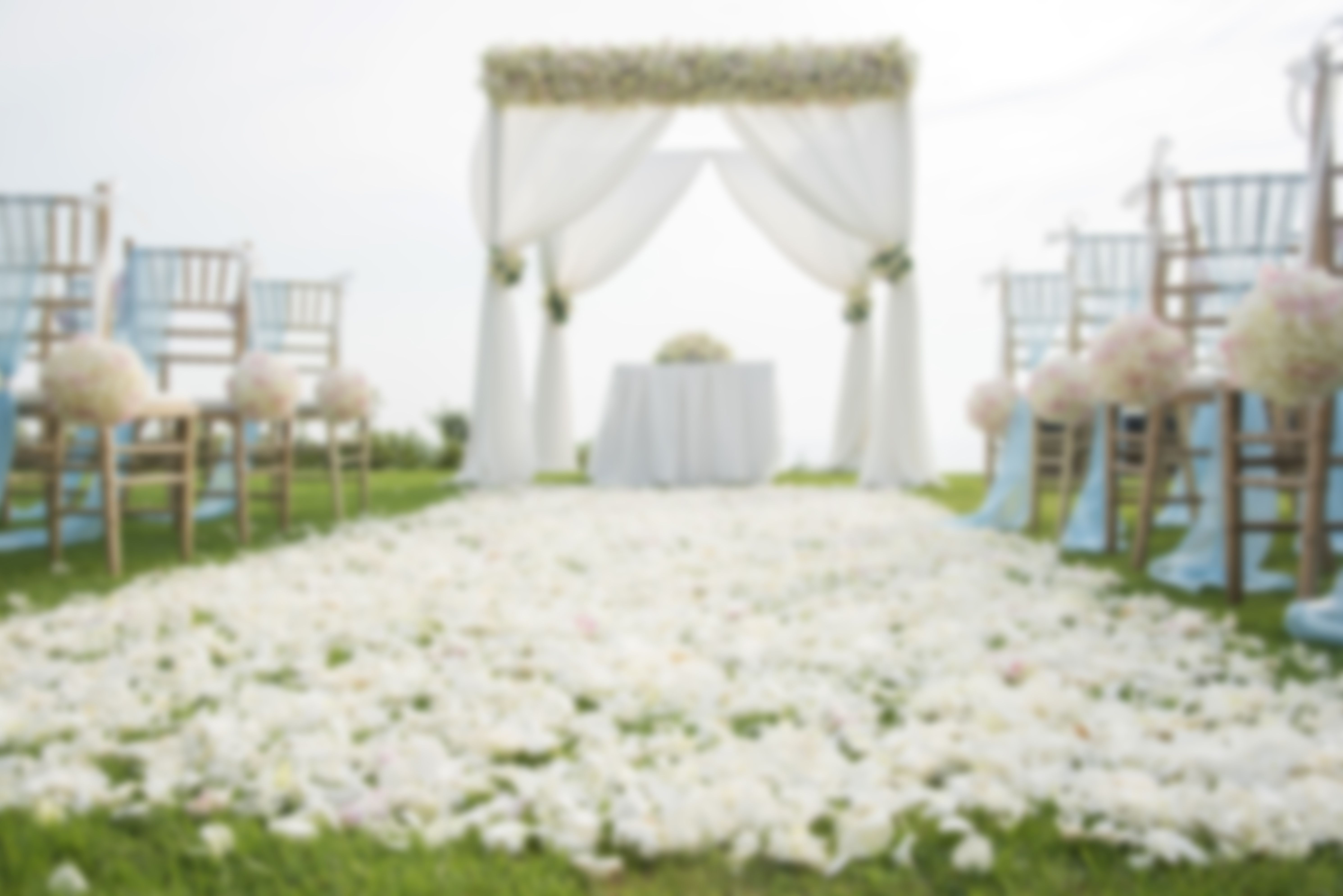 wedding photo background