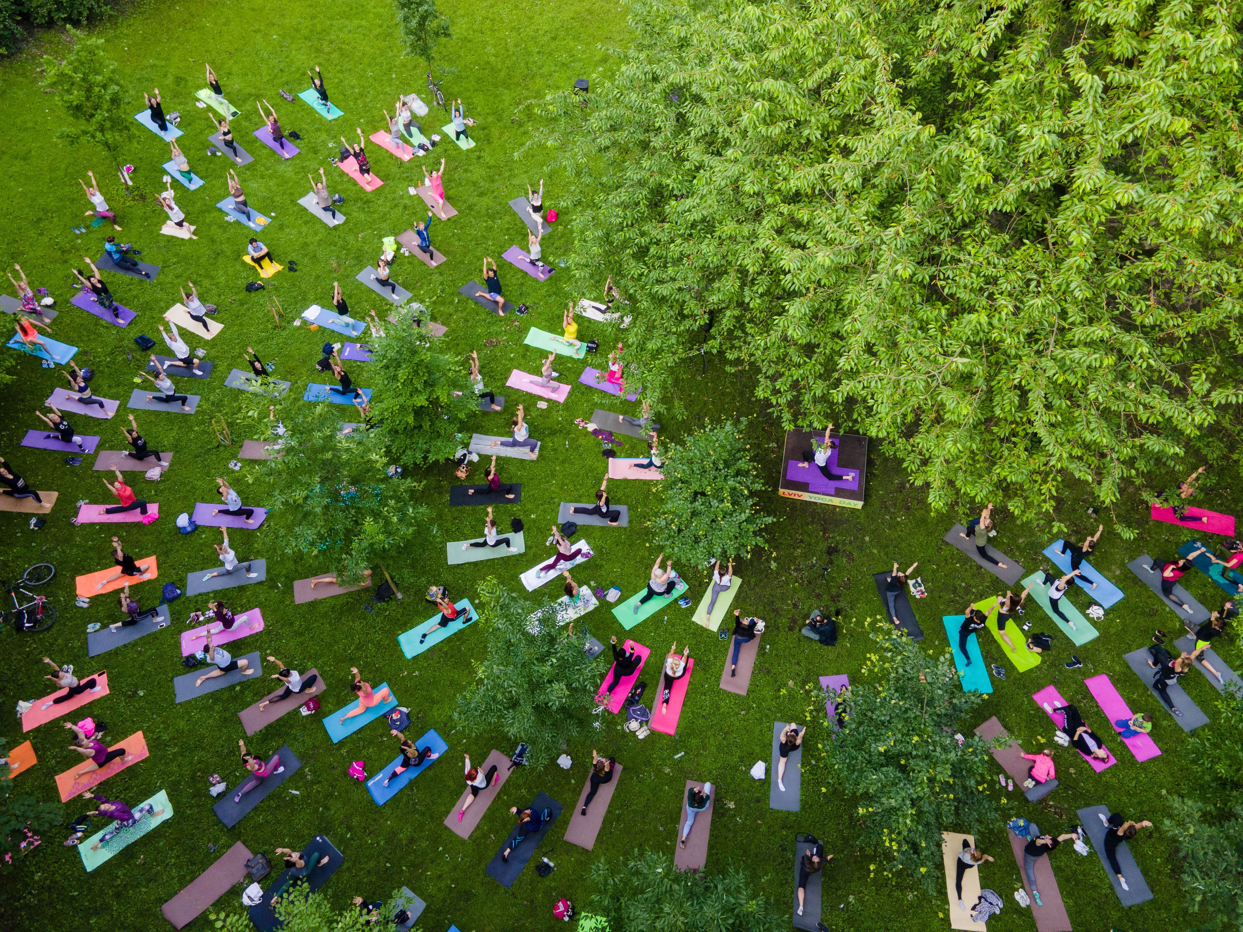 yoga wellness event