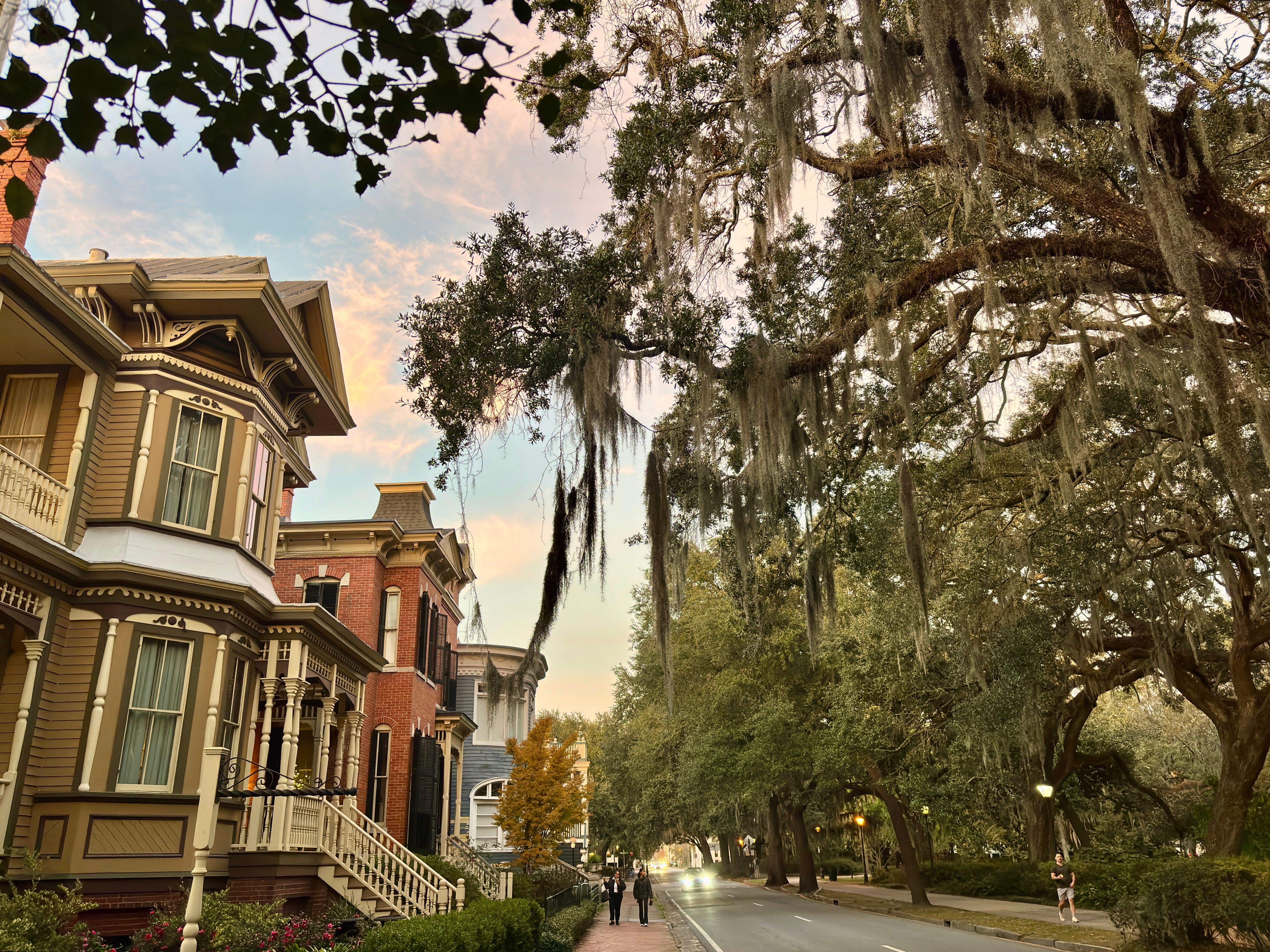 savannah winter holidays