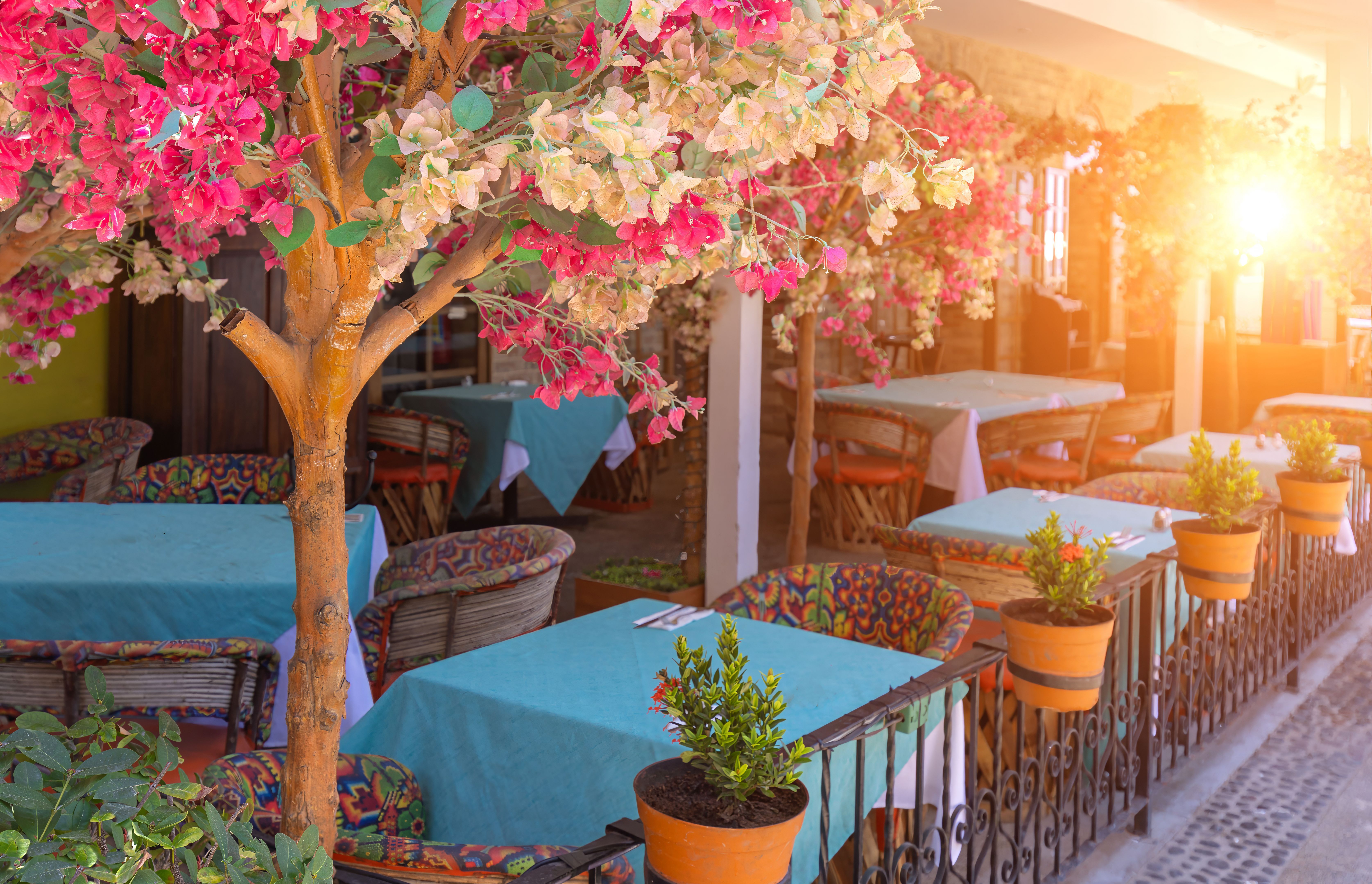 gourmet restaurant mexico