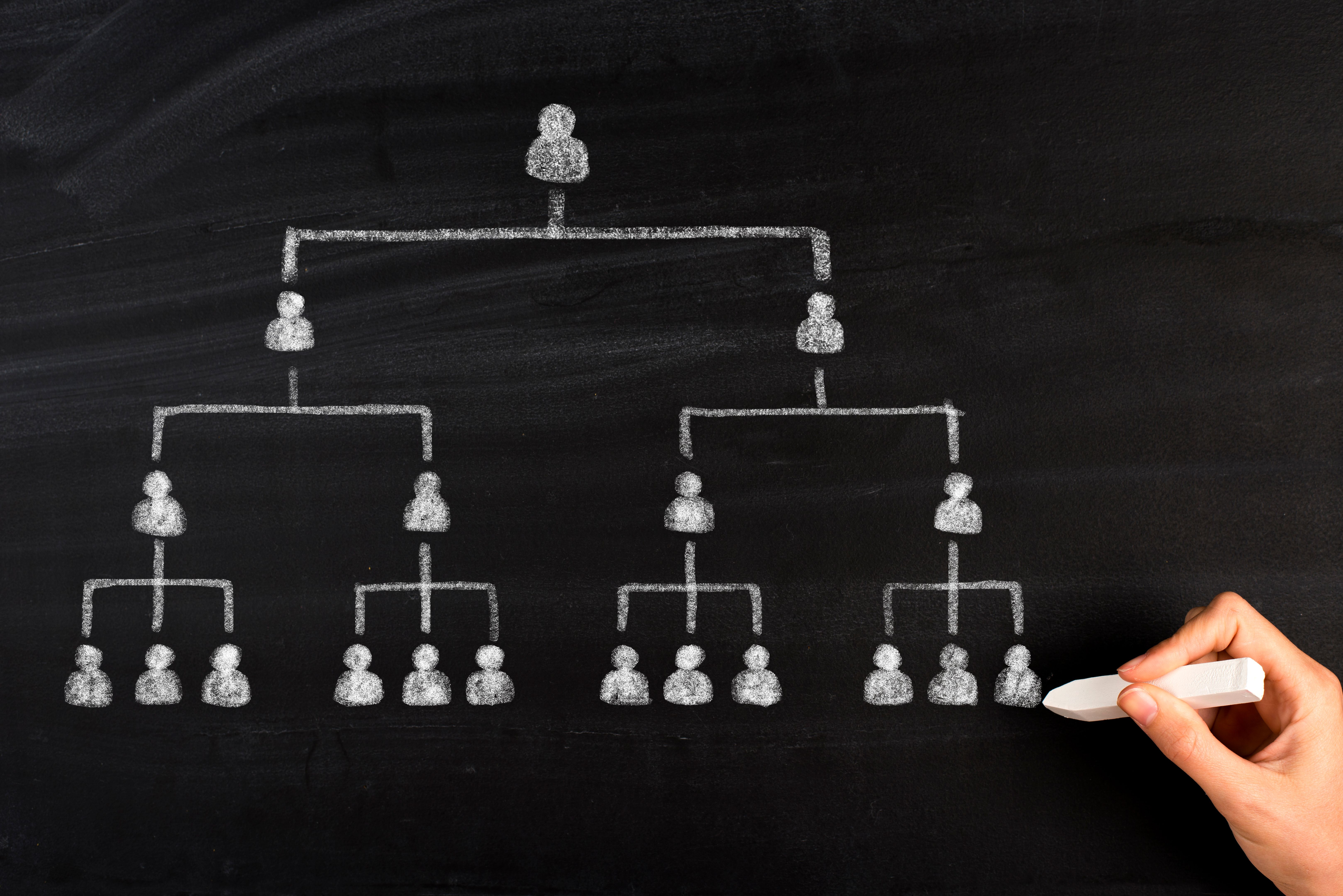 Network Marketing MLM Network Marketing MLM