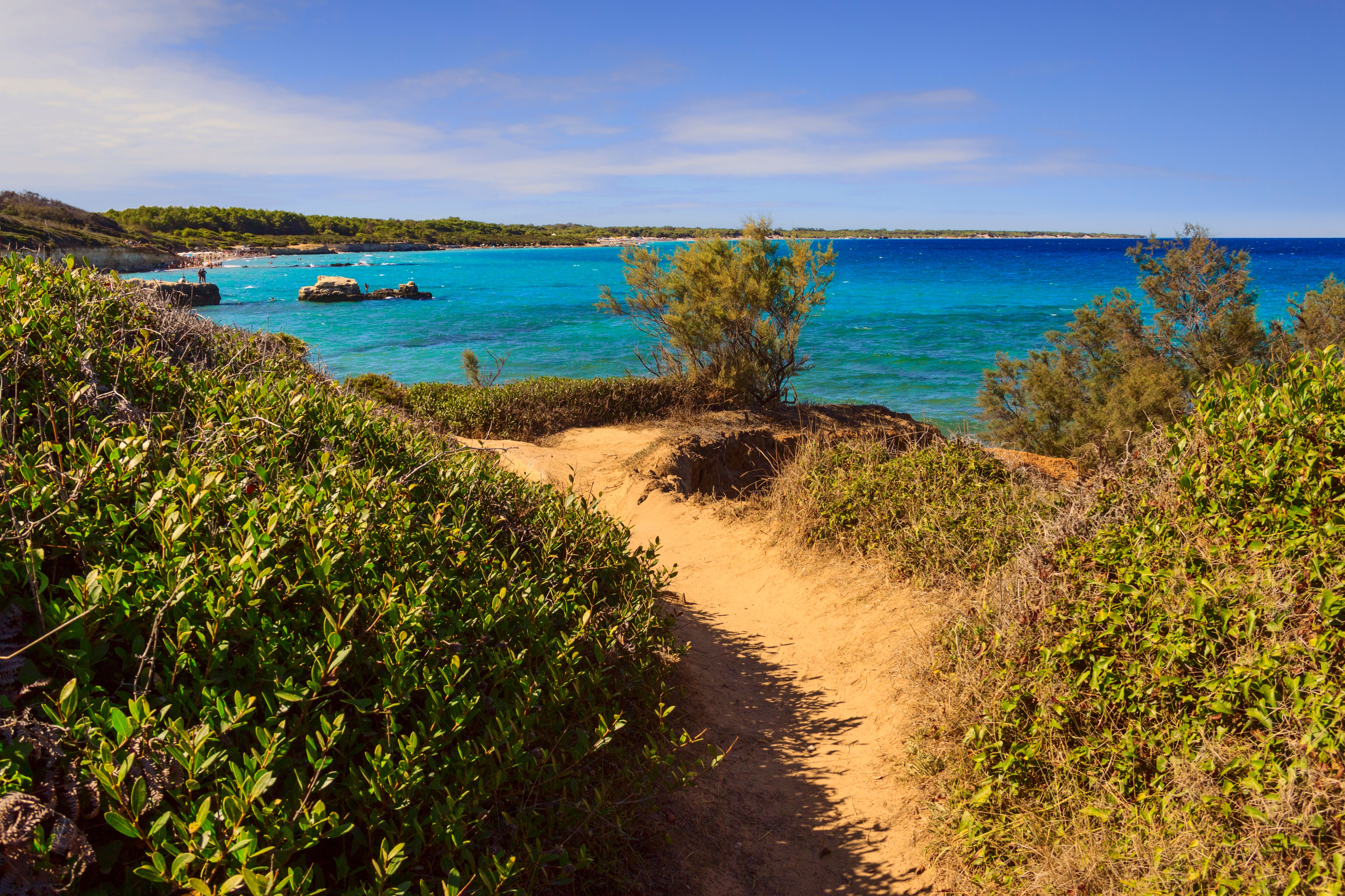 The most beautiful coasts of Italy. Protected oasis of the lakes Alimini: Turkish Bay (or Baia dei Turchi). Just a few kilometers north of Otranto, this coast is one of the most important ecosystems in Salento and Apulia (Italy). The most beautiful coasts of Italy. Protected oasis of the lakes Alimini: Turkish Bay (or Baia dei Turchi). Just a few kilometers north of Otranto, this coast is one of the most important ecosystems in Salento and Apulia (Italy).