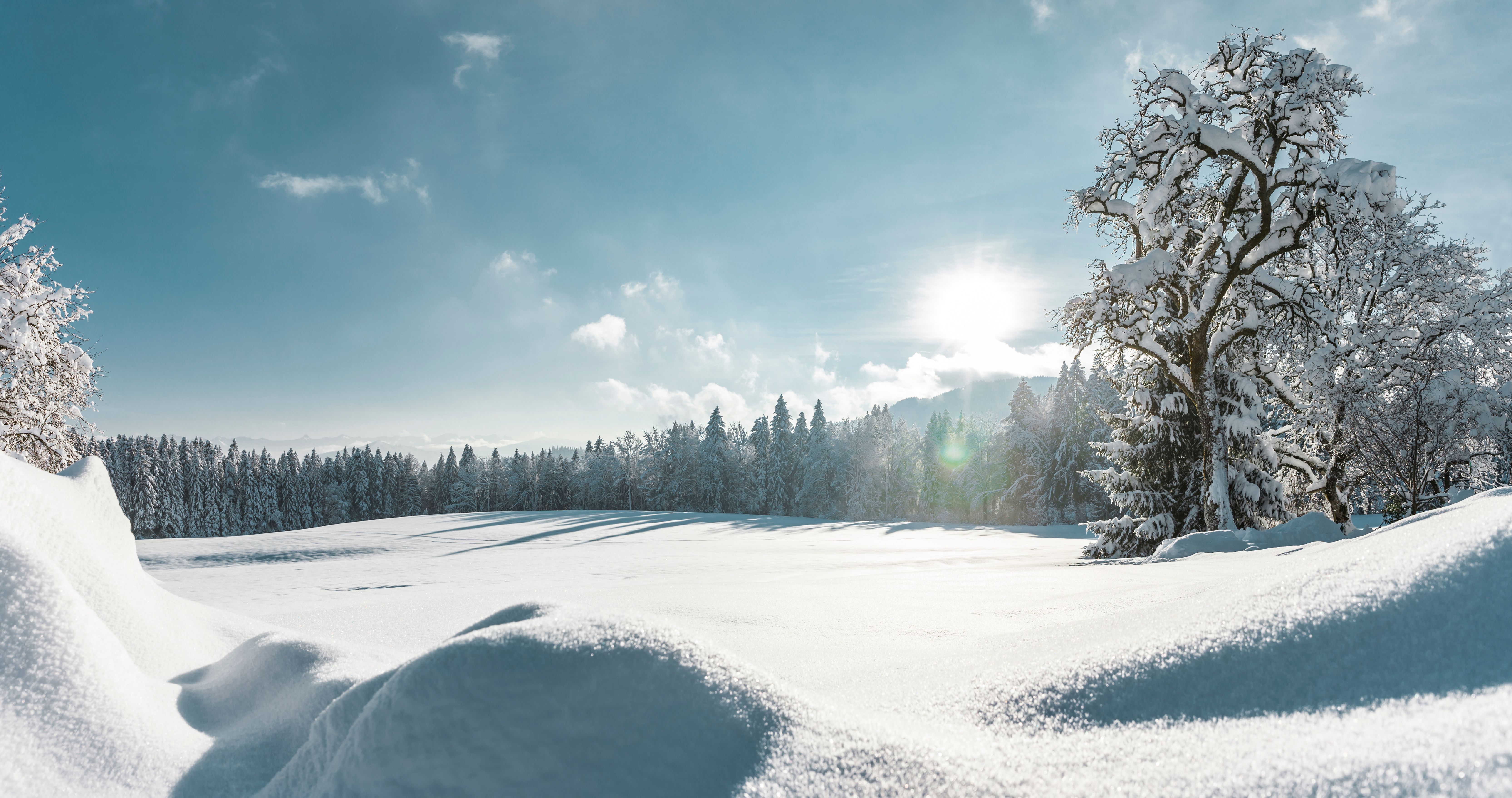 snow-covered bavaria