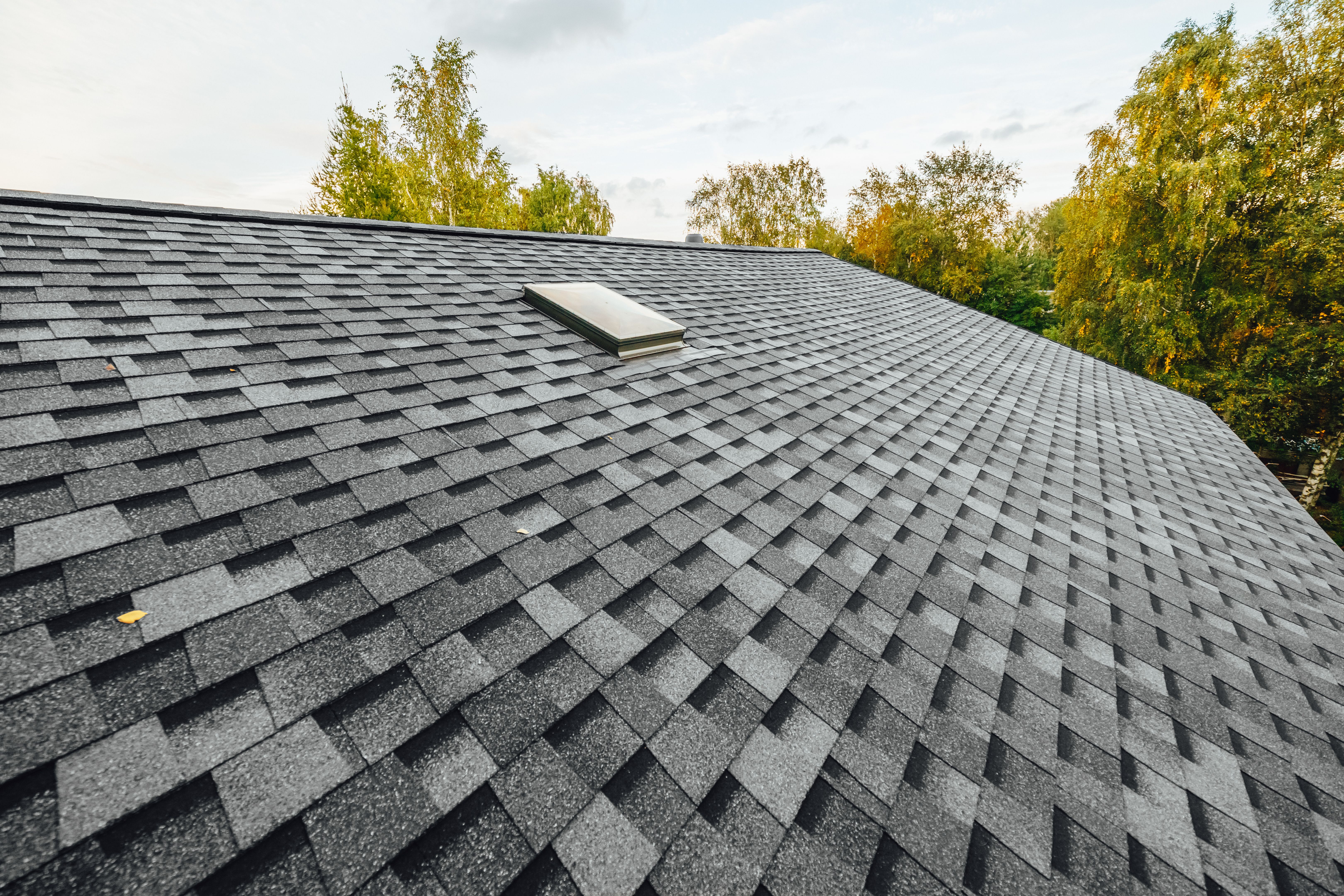 weather resistant roofing
