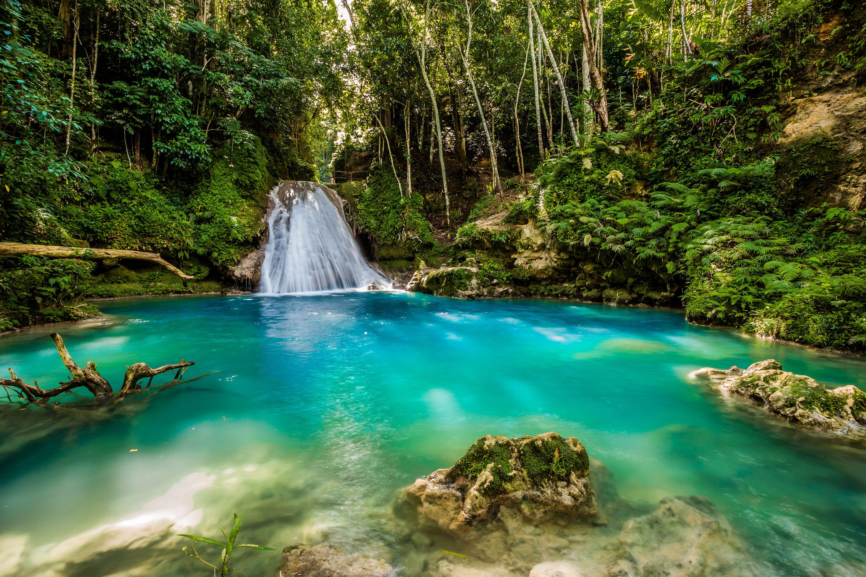 jamaica nature