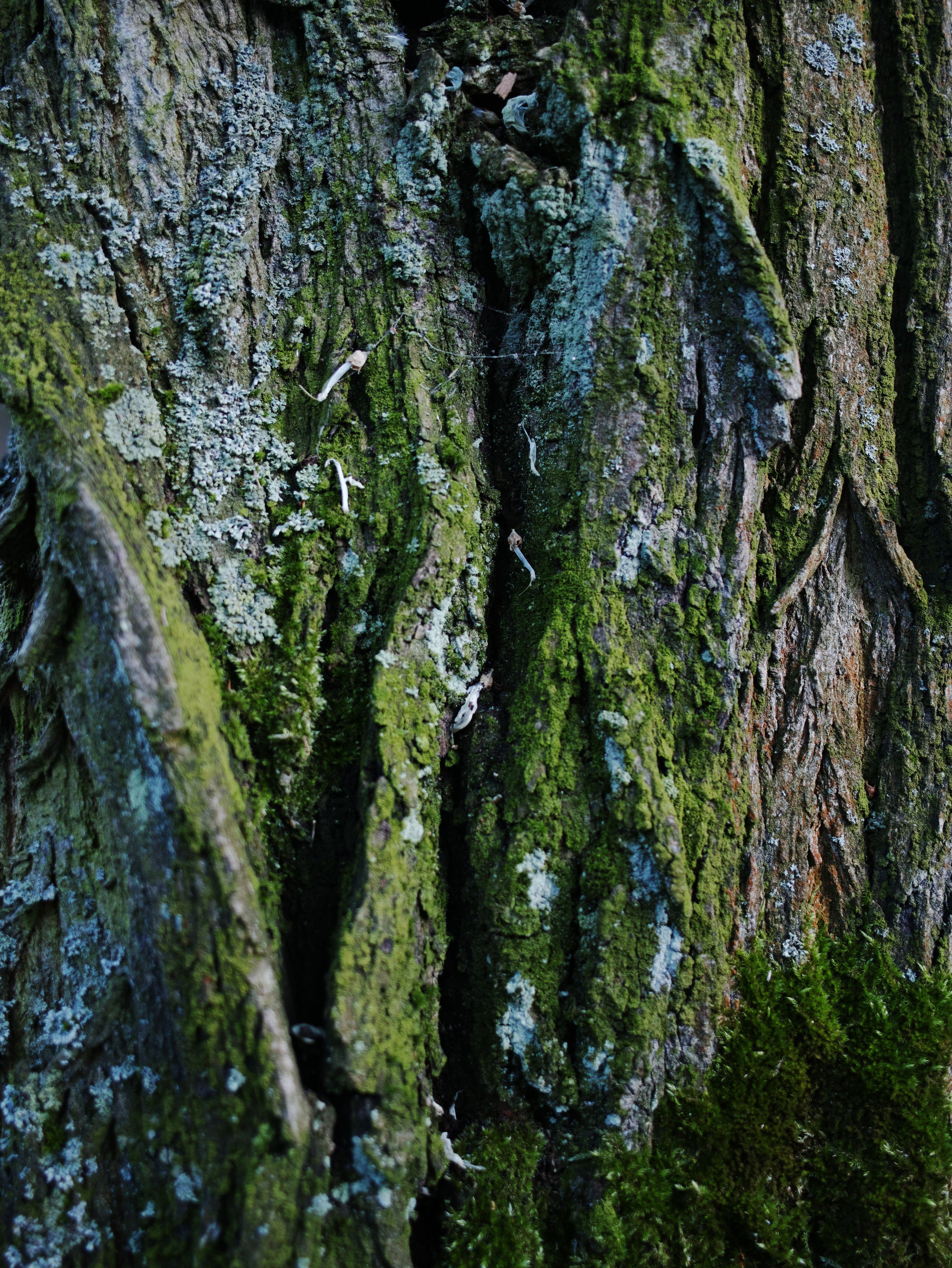 strata transformation