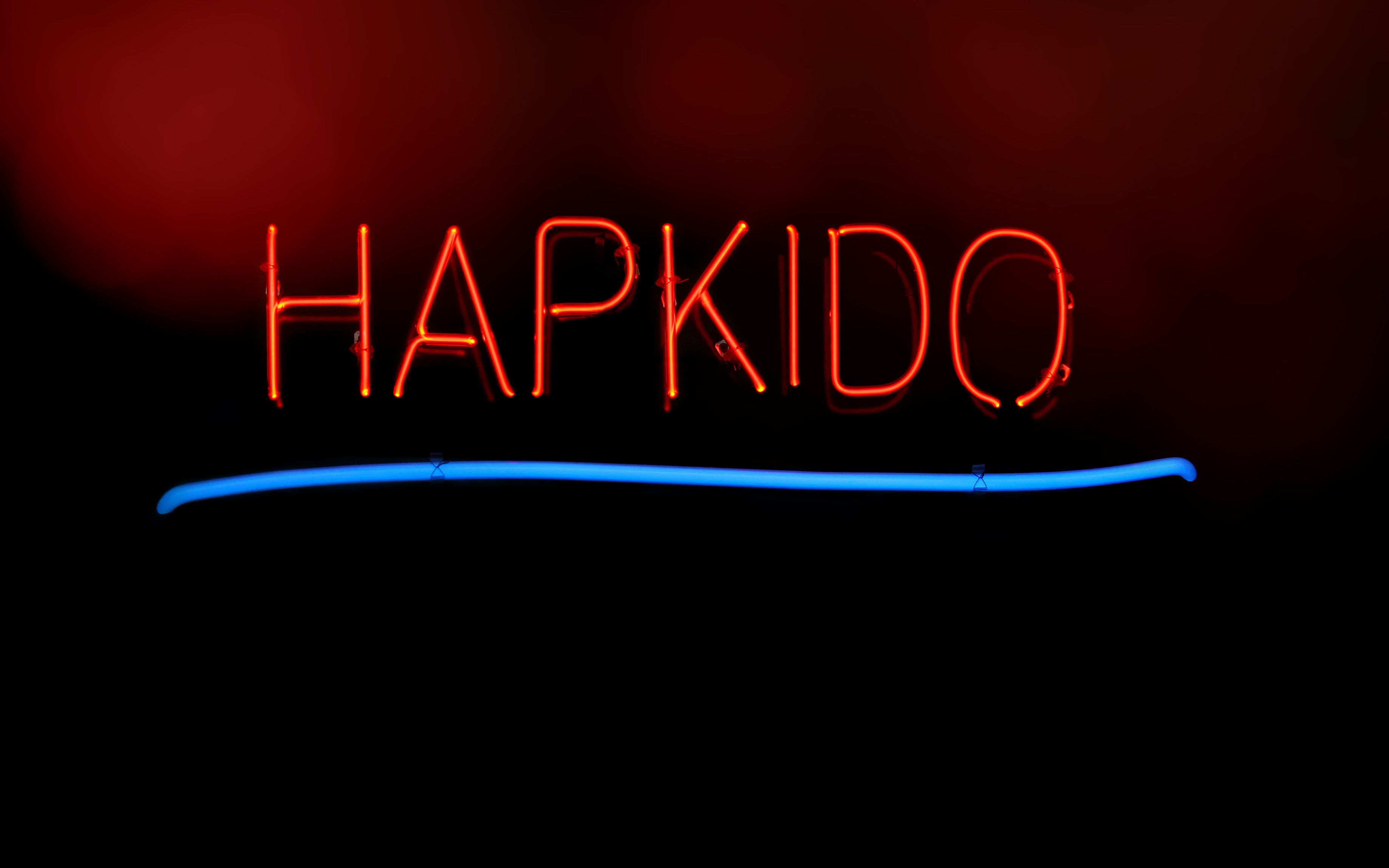 hapkido demonstration