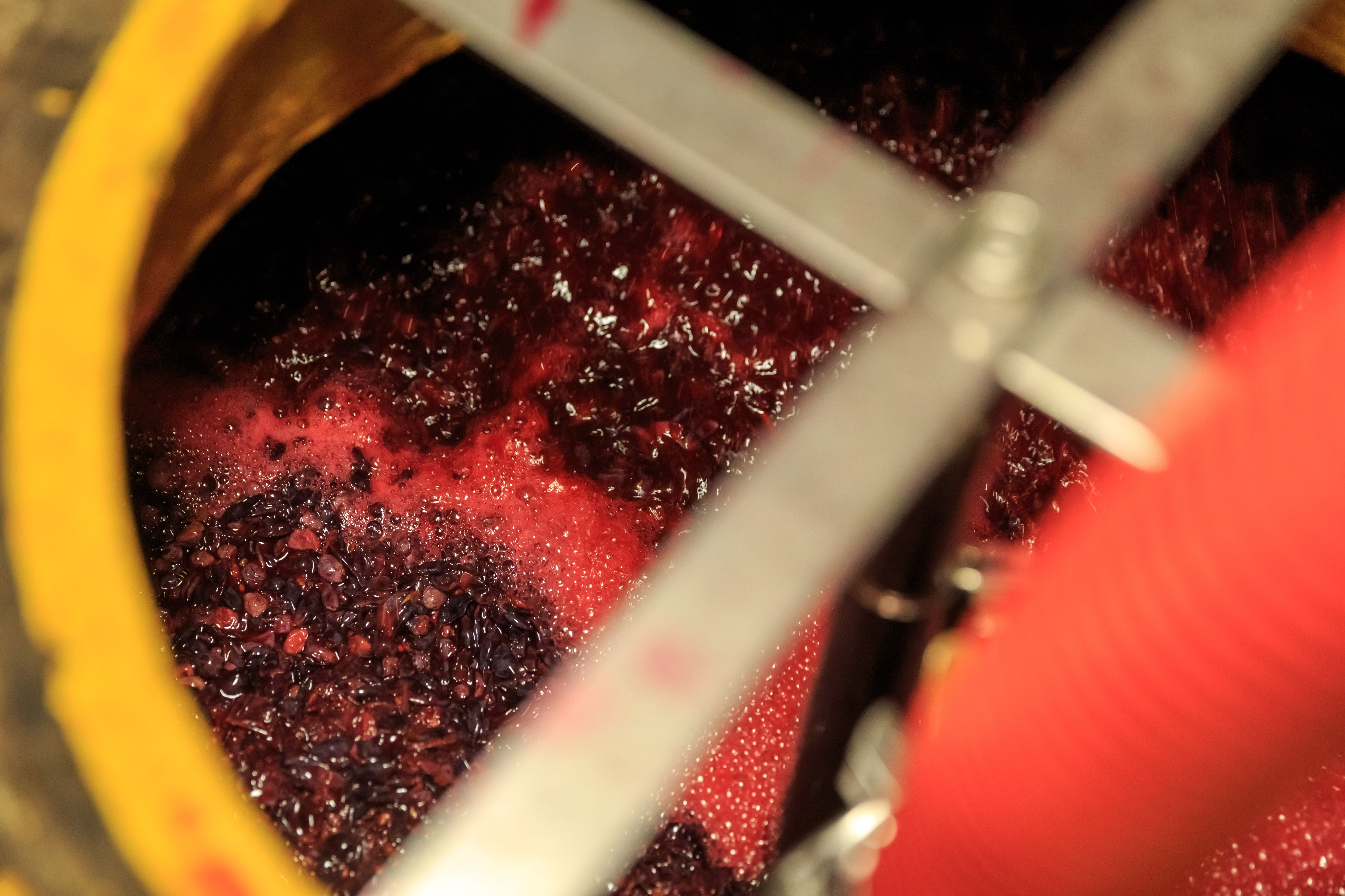 fermentation process
