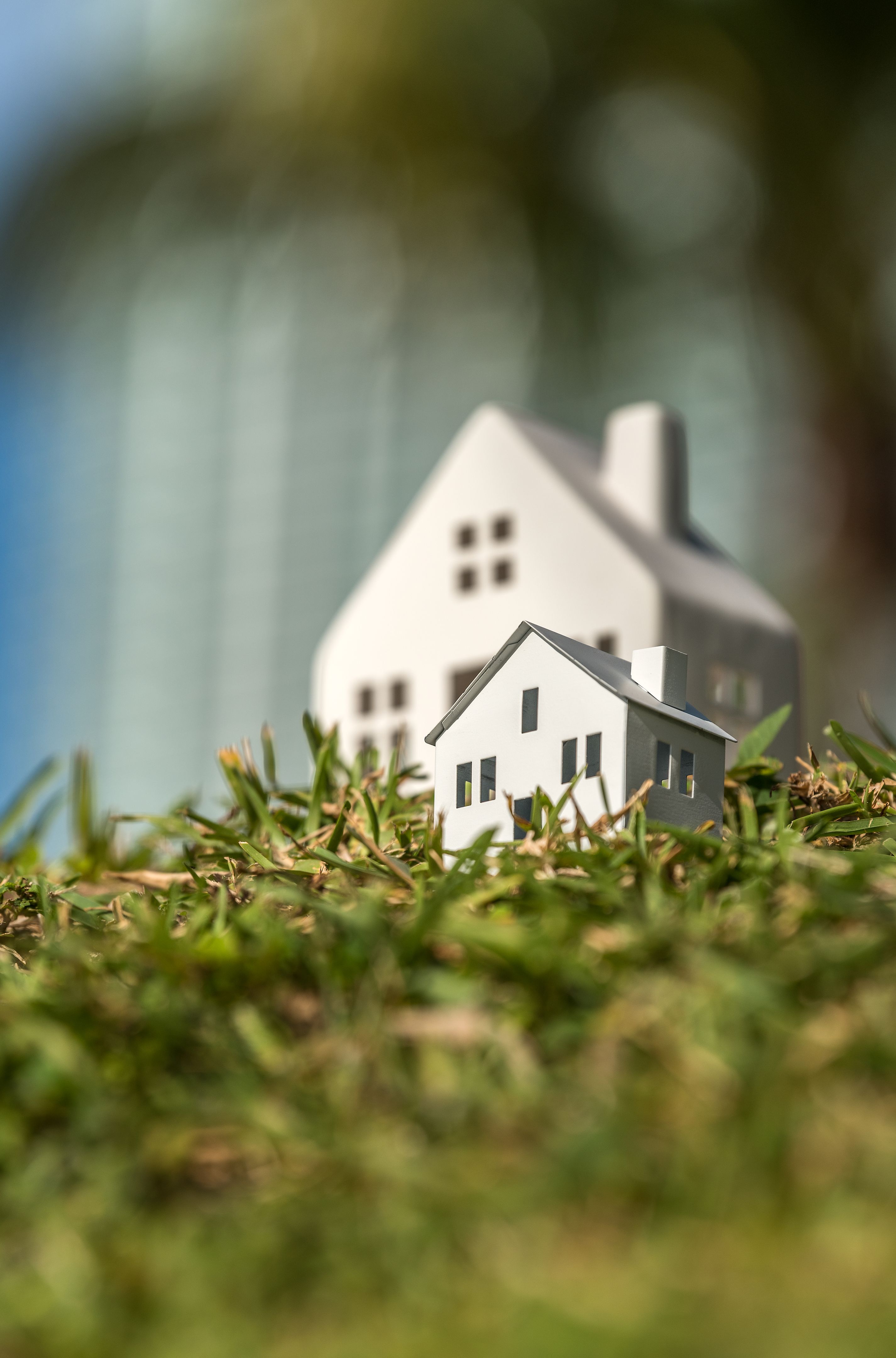 sustainability insurance