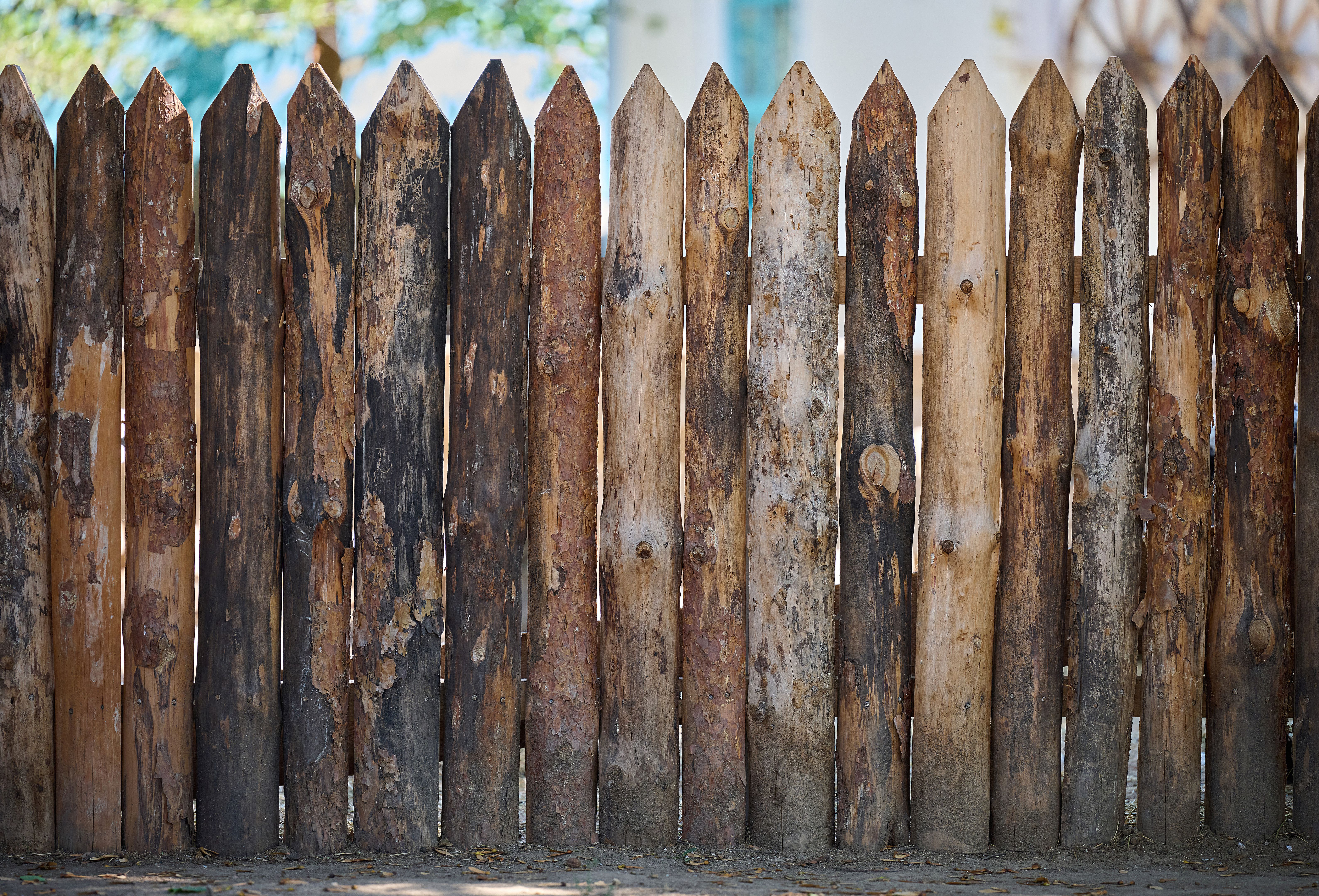 natural wood fence