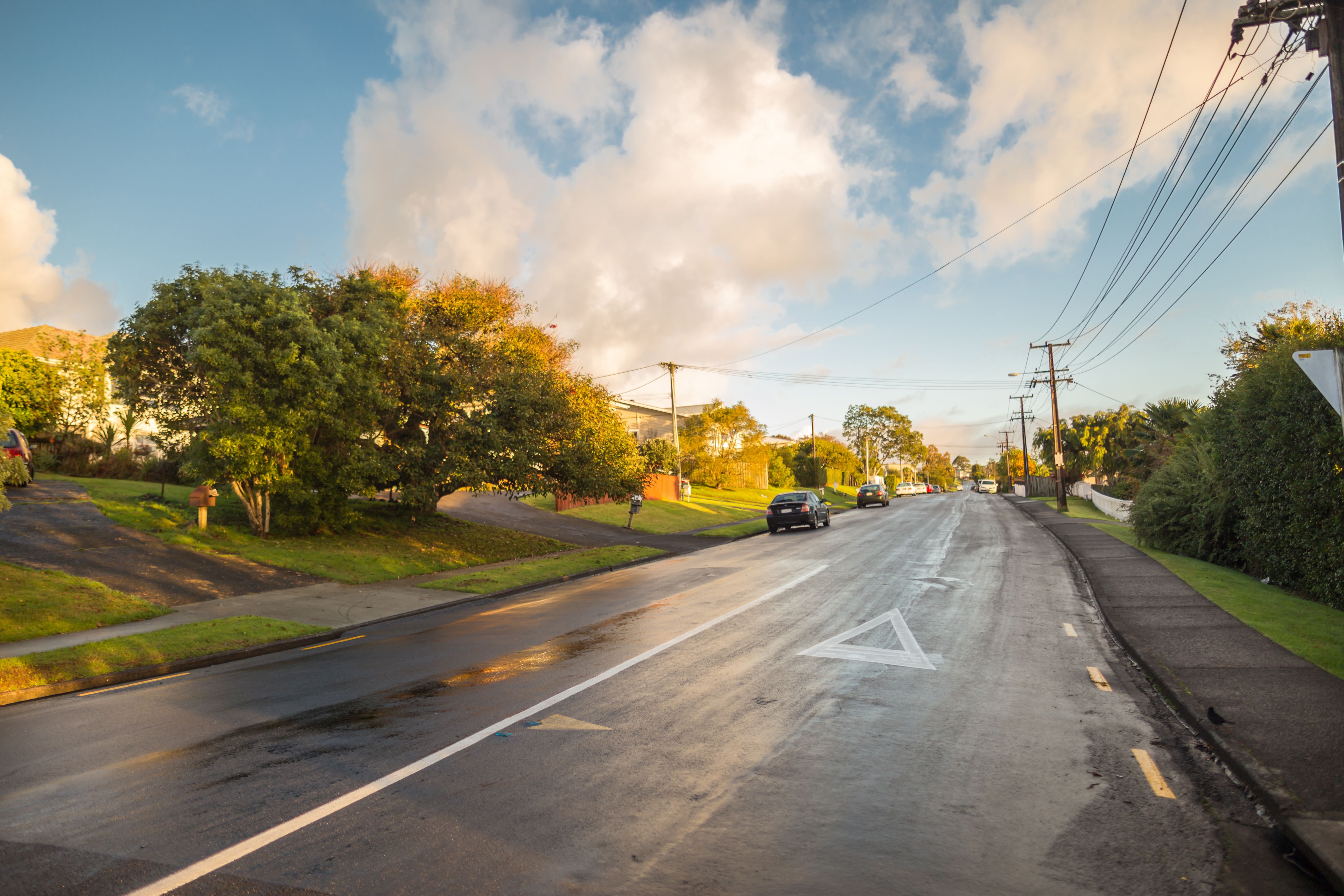 auckland neighborhood