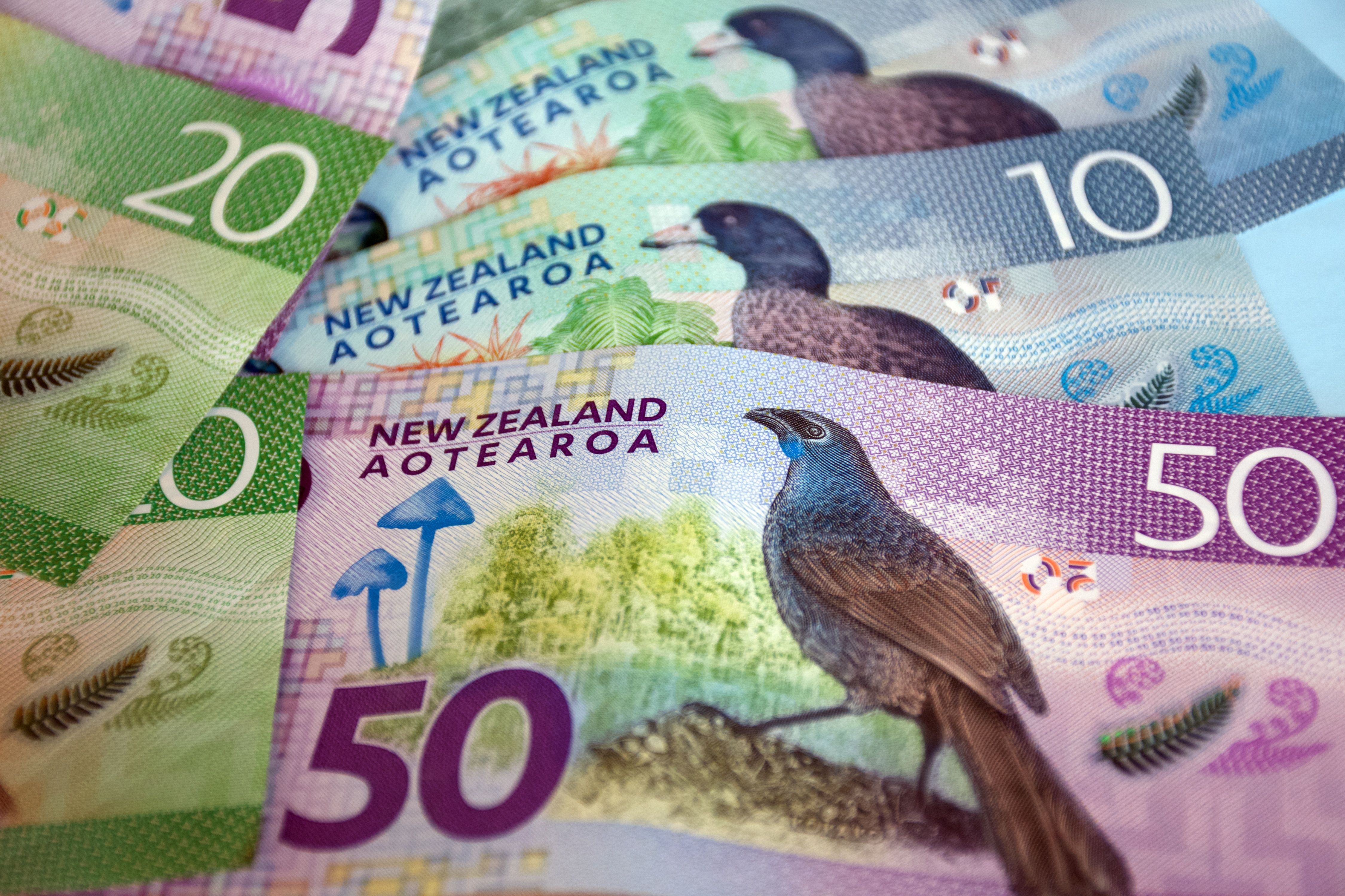 vacation rental income