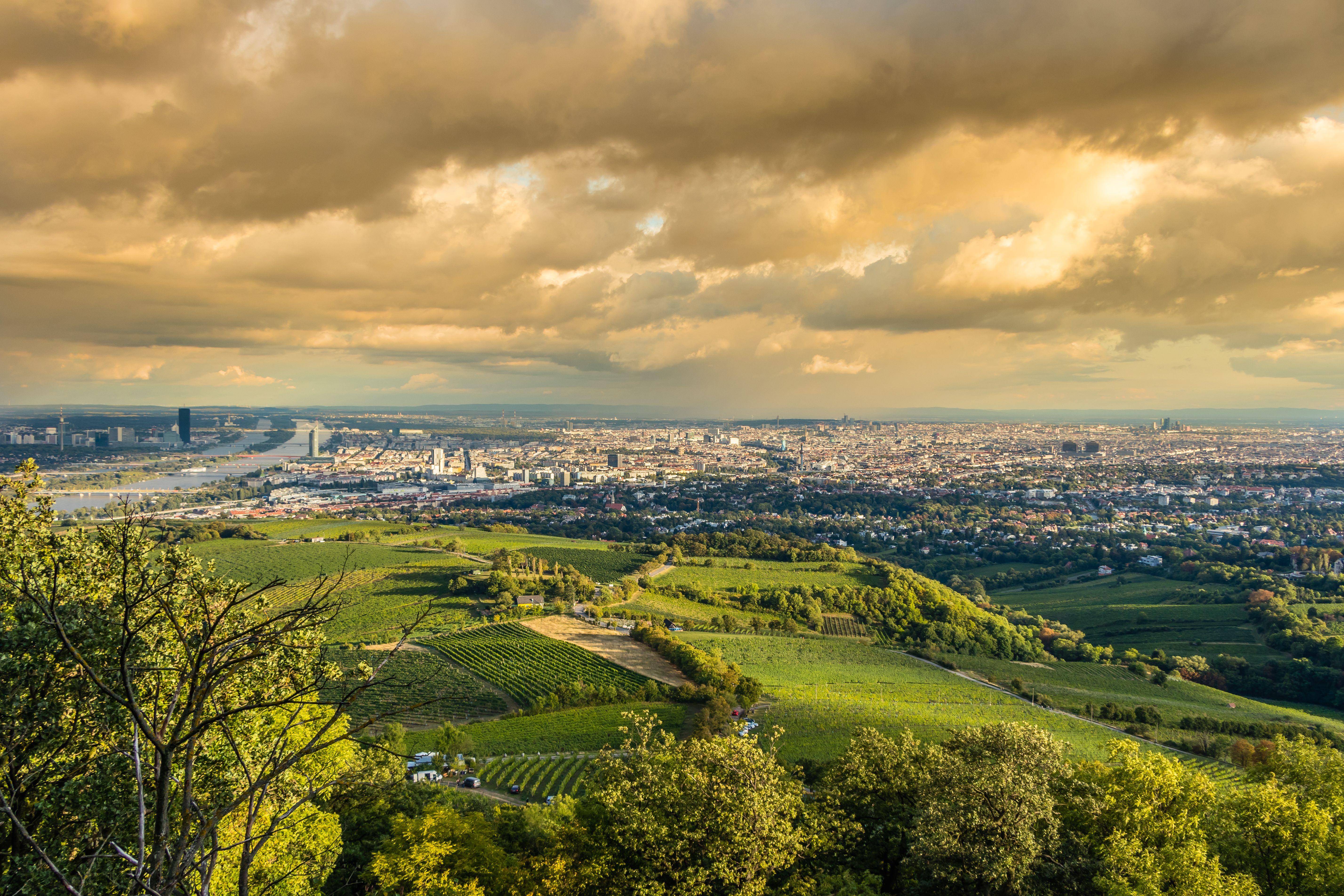 Vienna landscape from Kahlenberg mountain, Austria