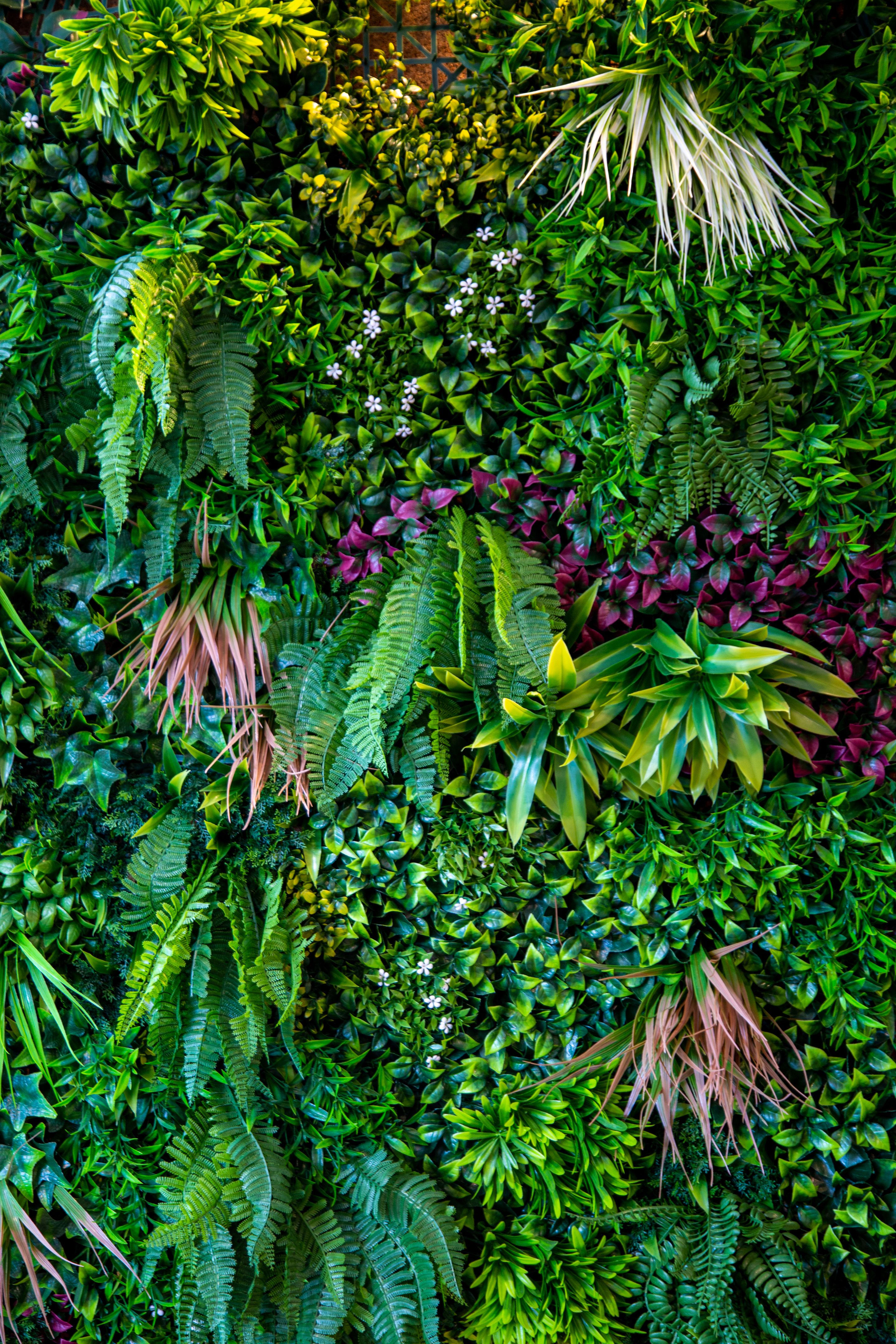 vertical garden